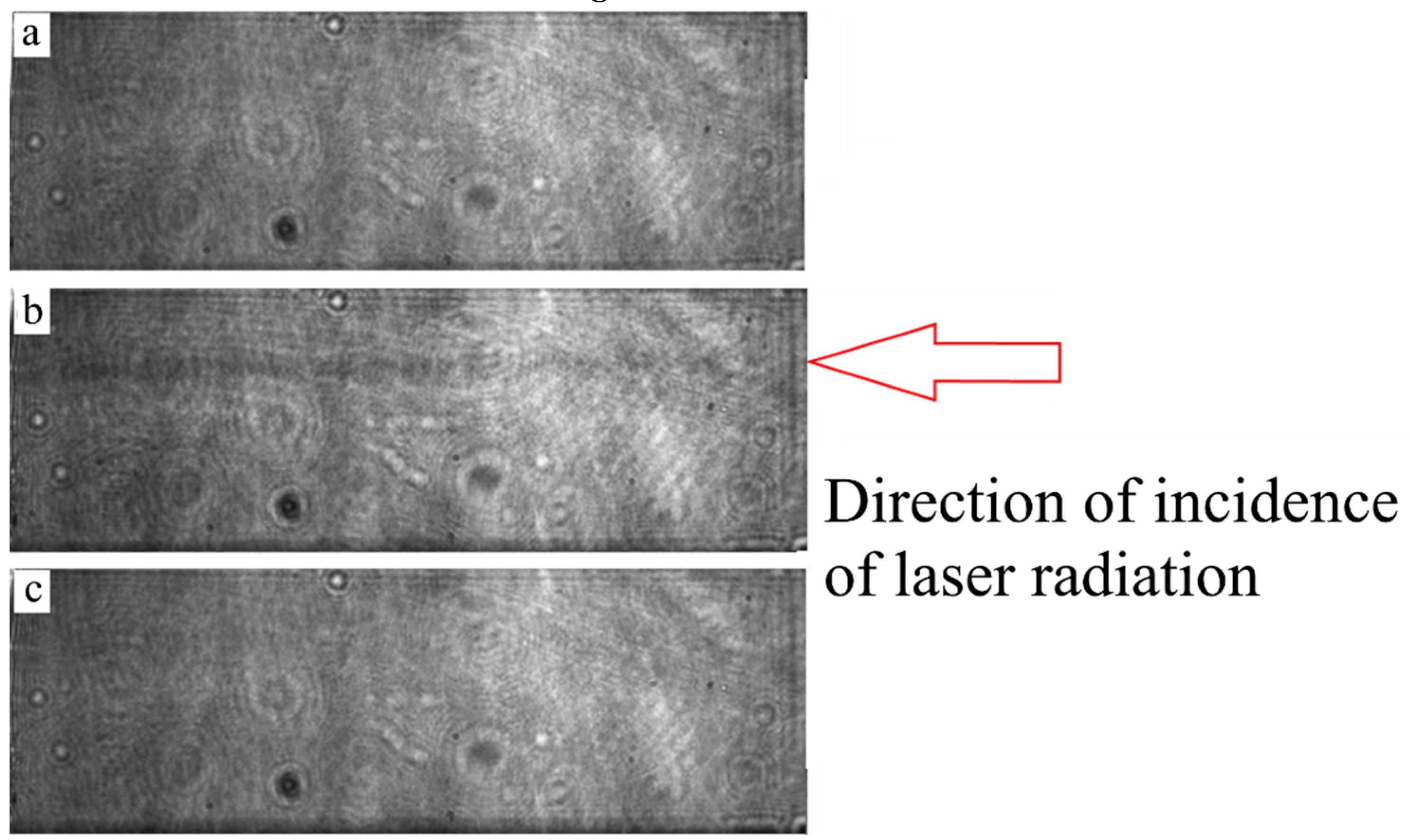 Preprints 90444 g014