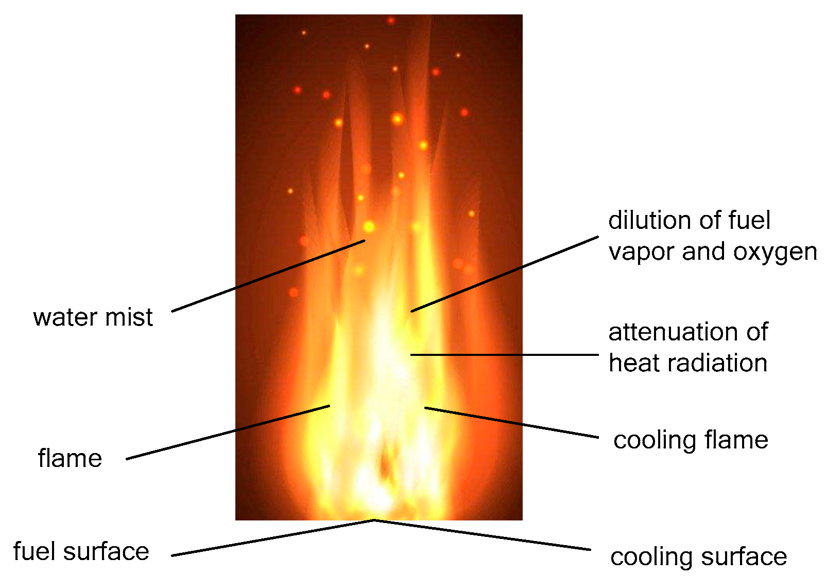 Preprints 191543 g001