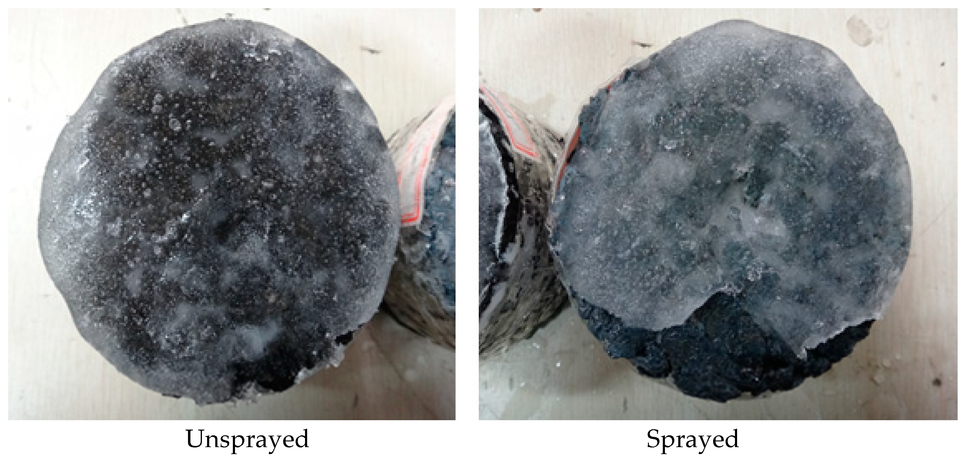 Preprints 91891 g005