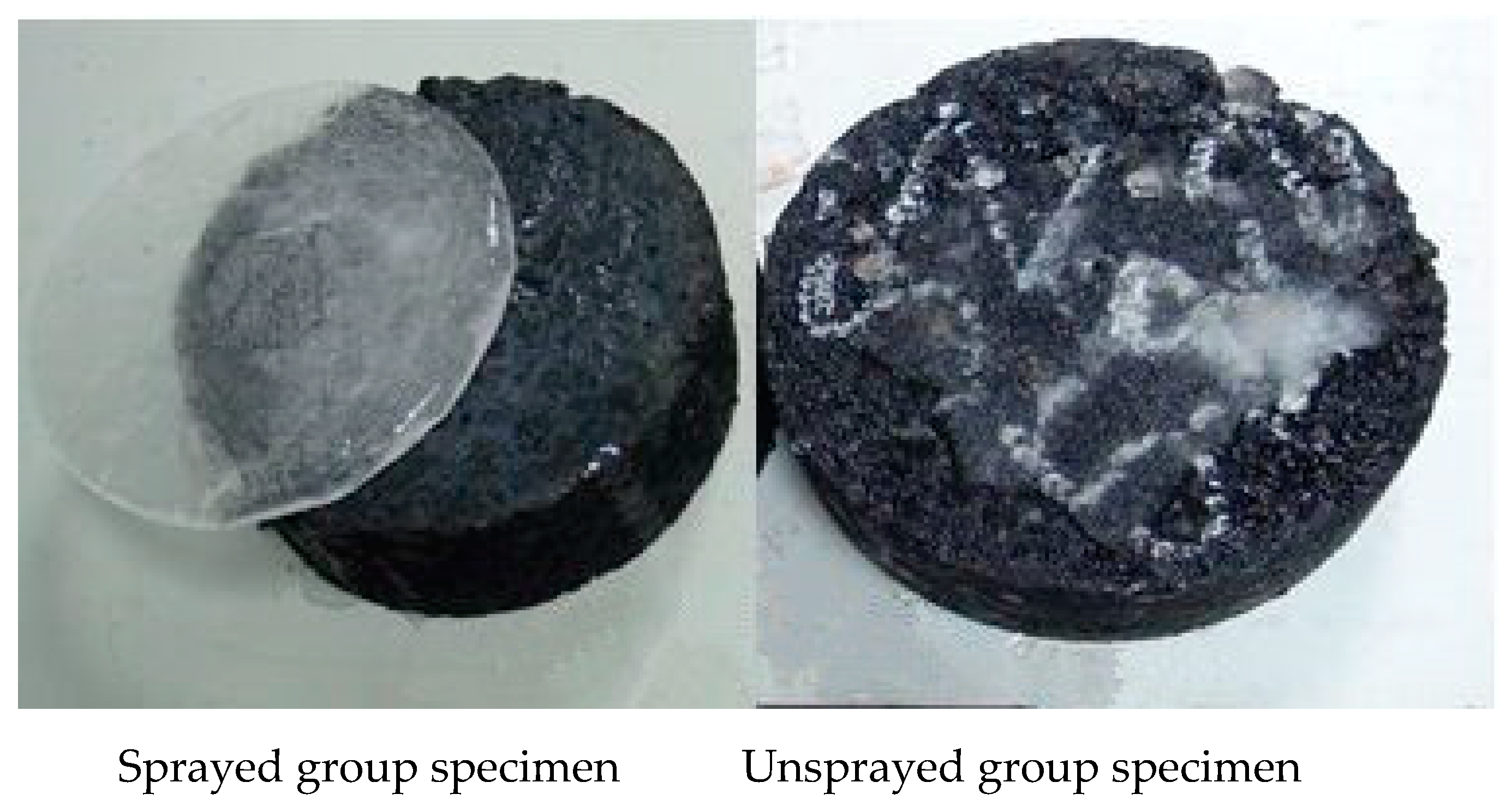 Preprints 91891 g006