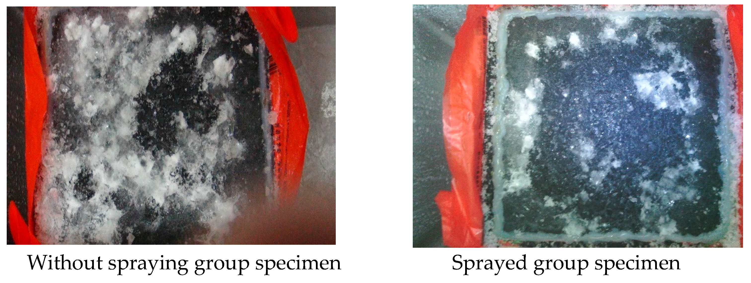 Preprints 91891 g007