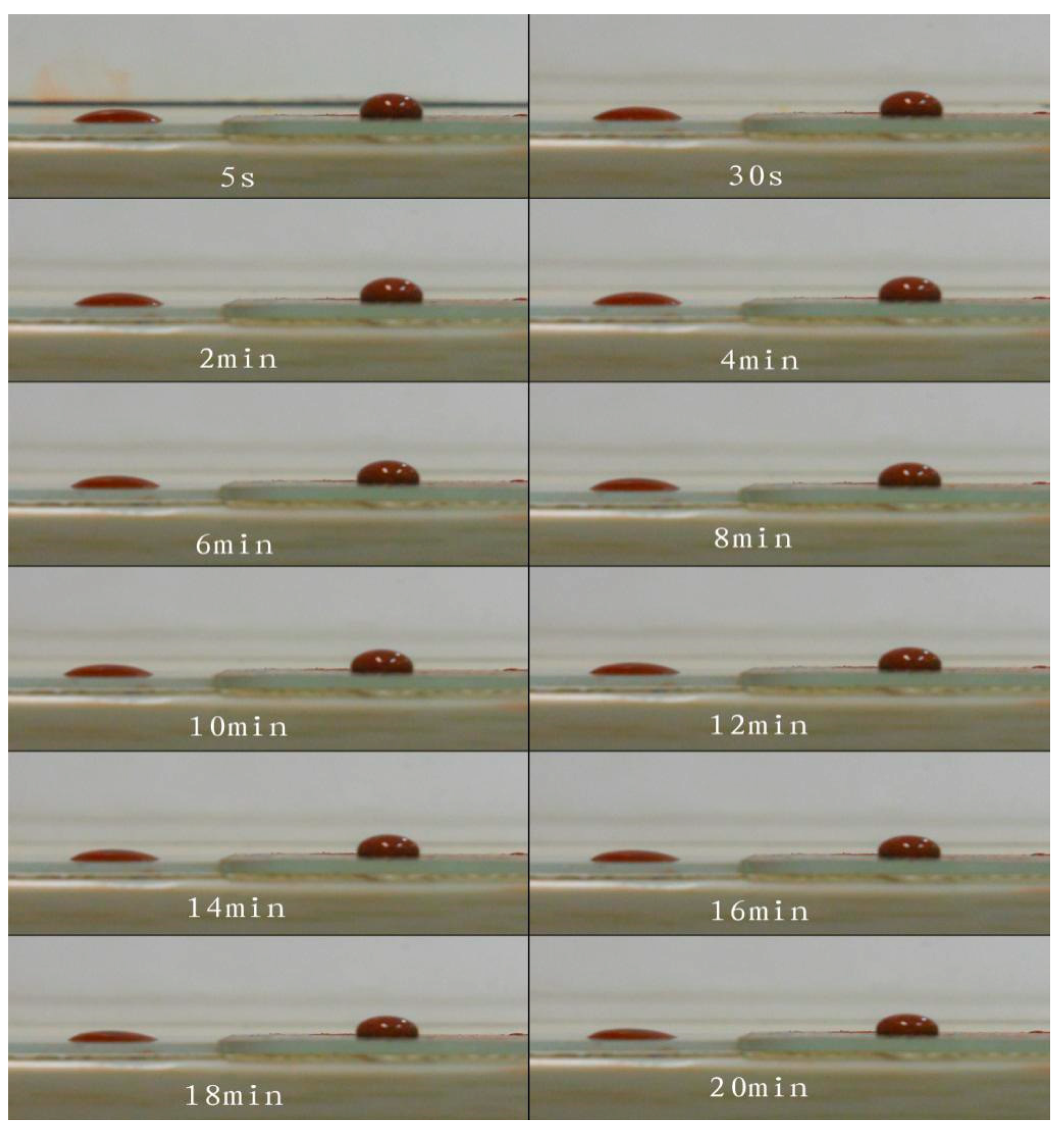 Preprints 91891 g008