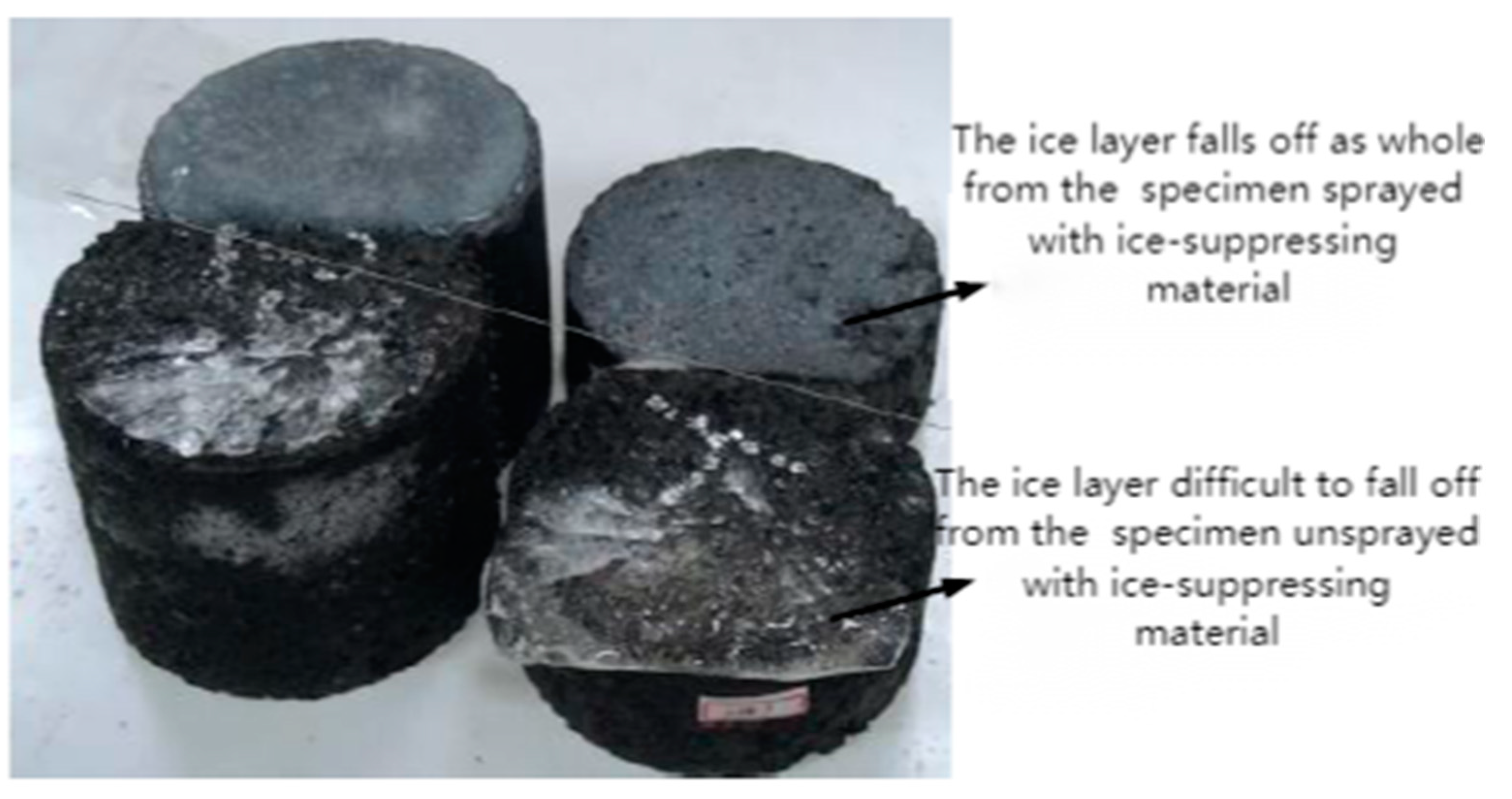 Preprints 91891 g011