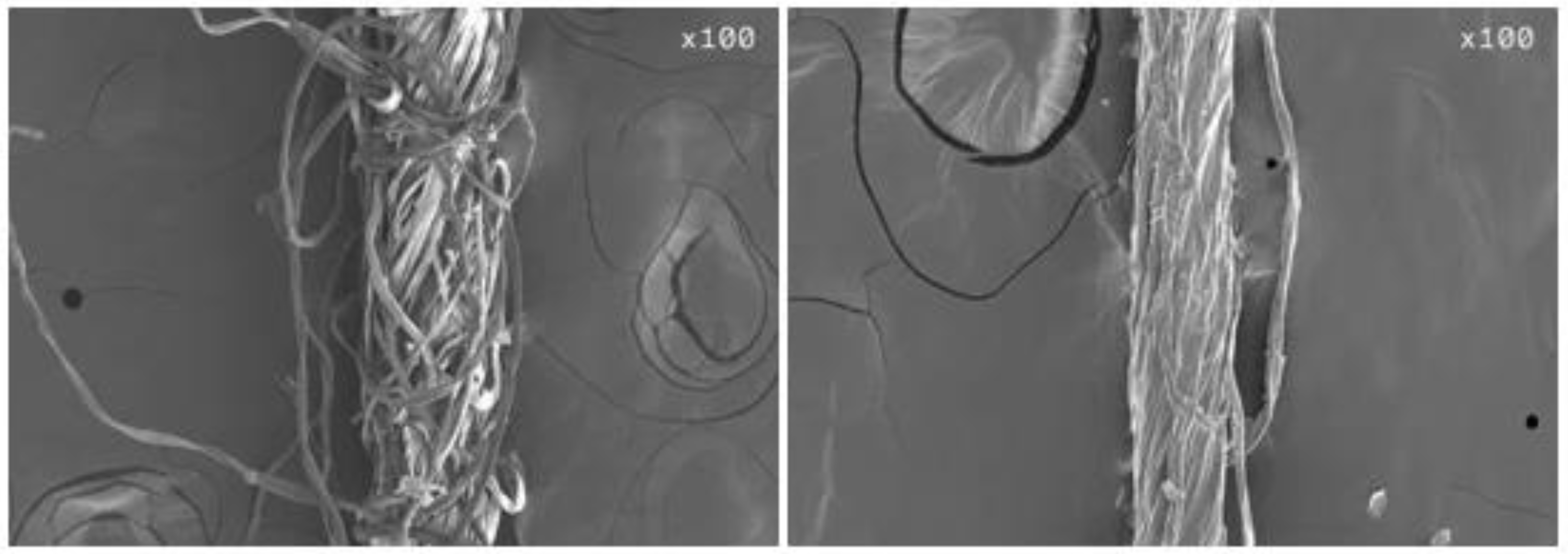 Preprints 90687 g003