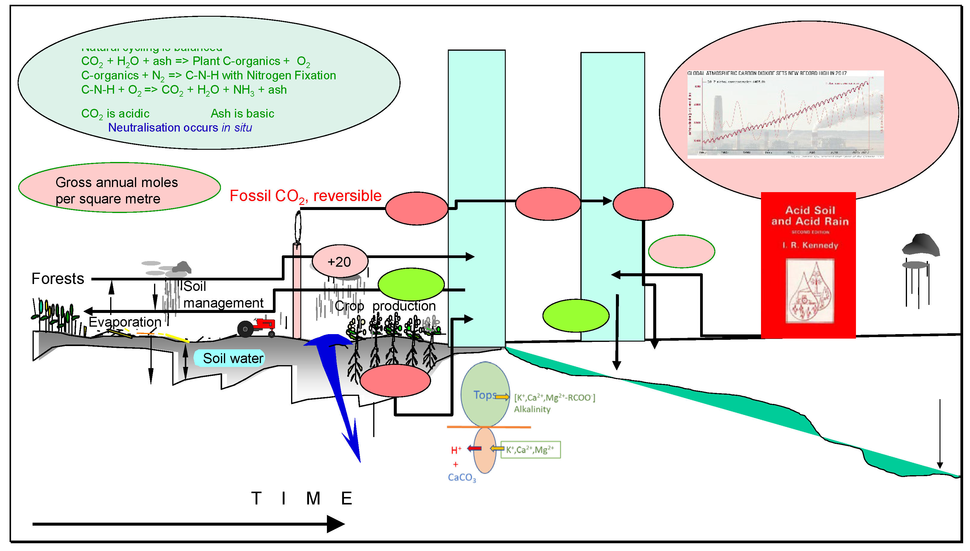 Preprints 102284 g011