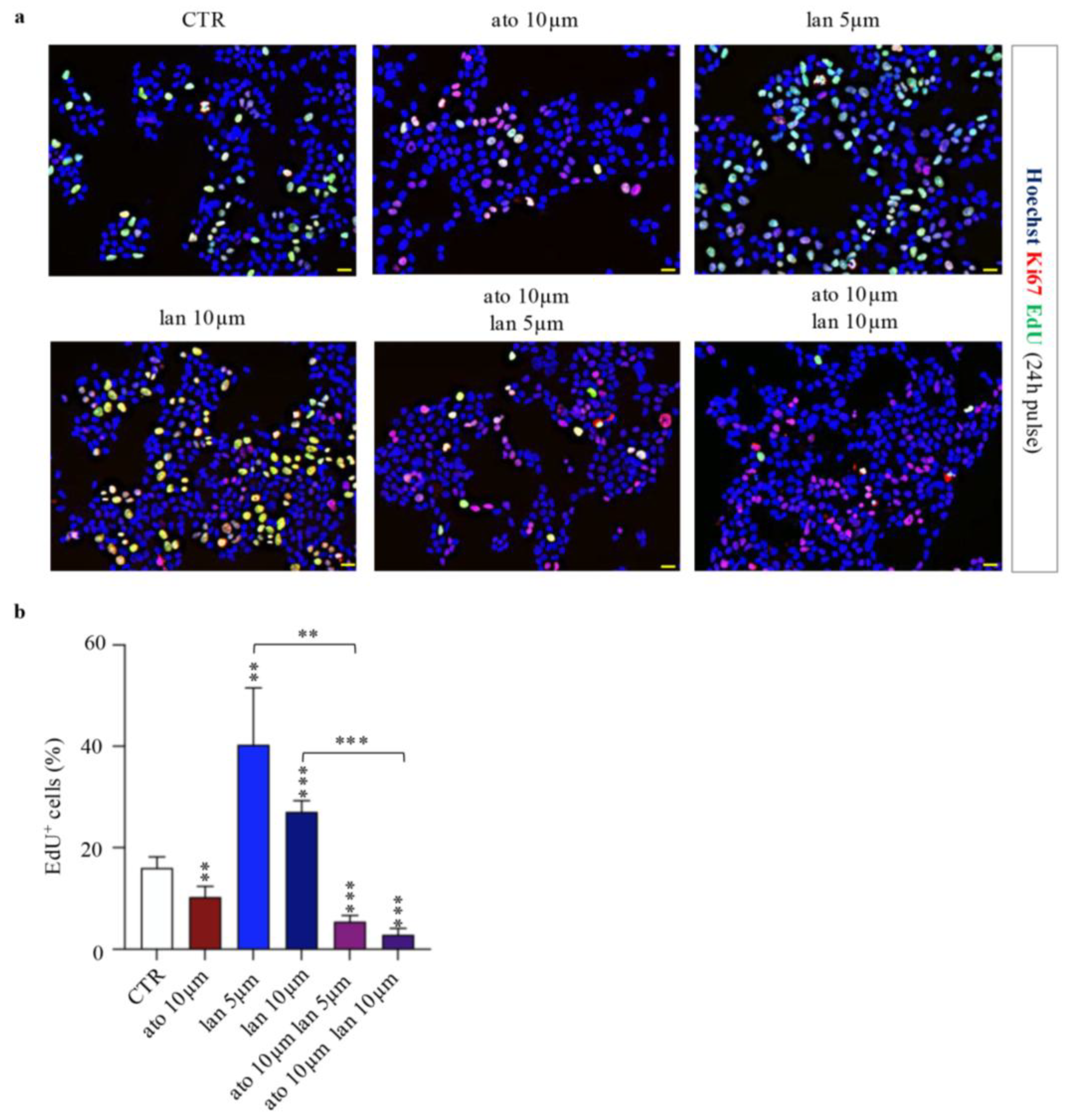Preprints 200680 g004