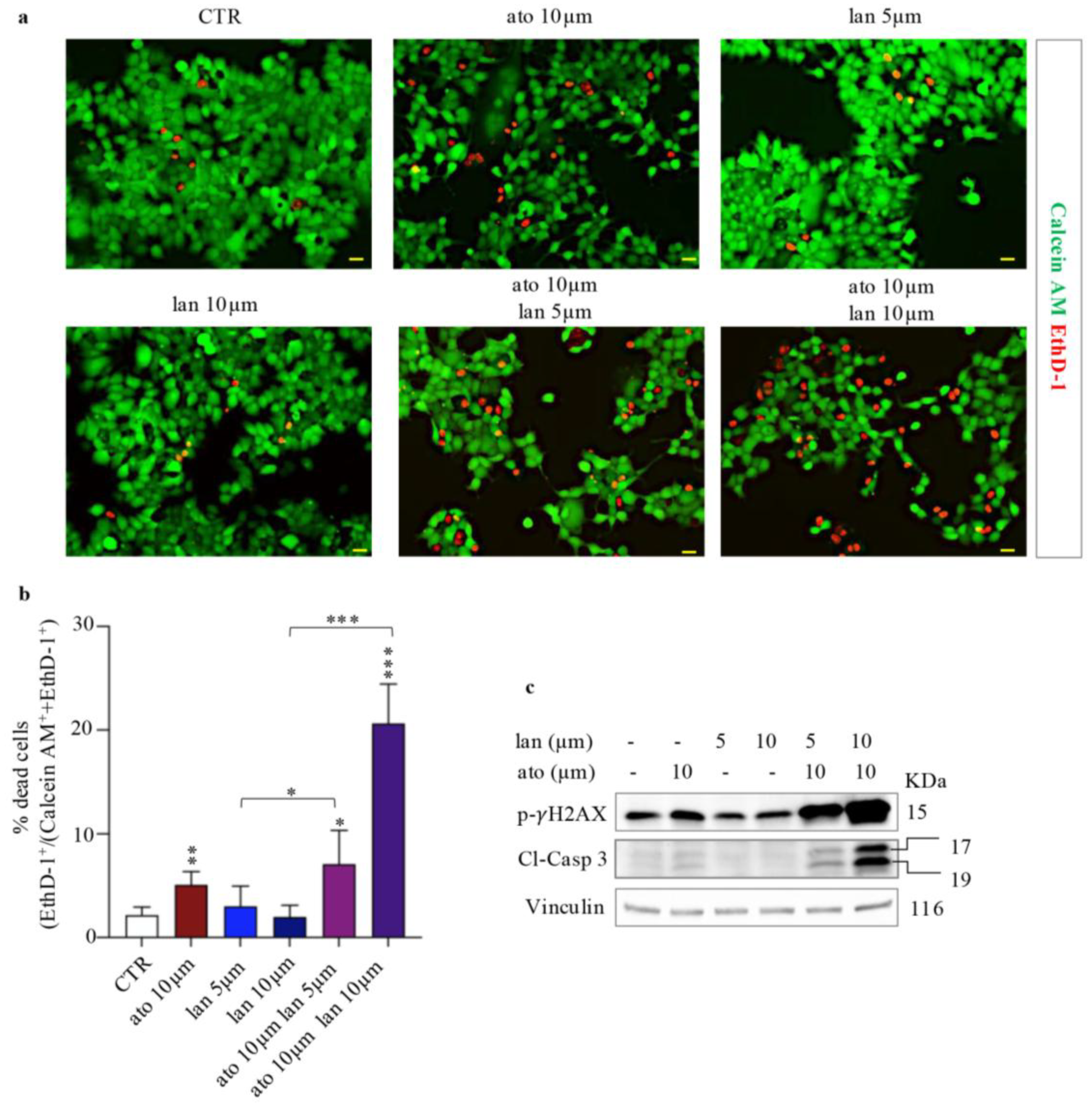 Preprints 200680 g005