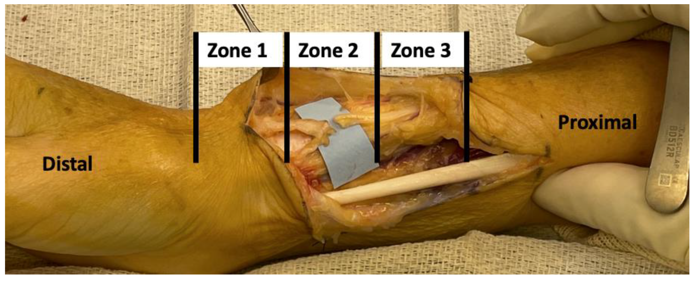 Preprints 146870 g001