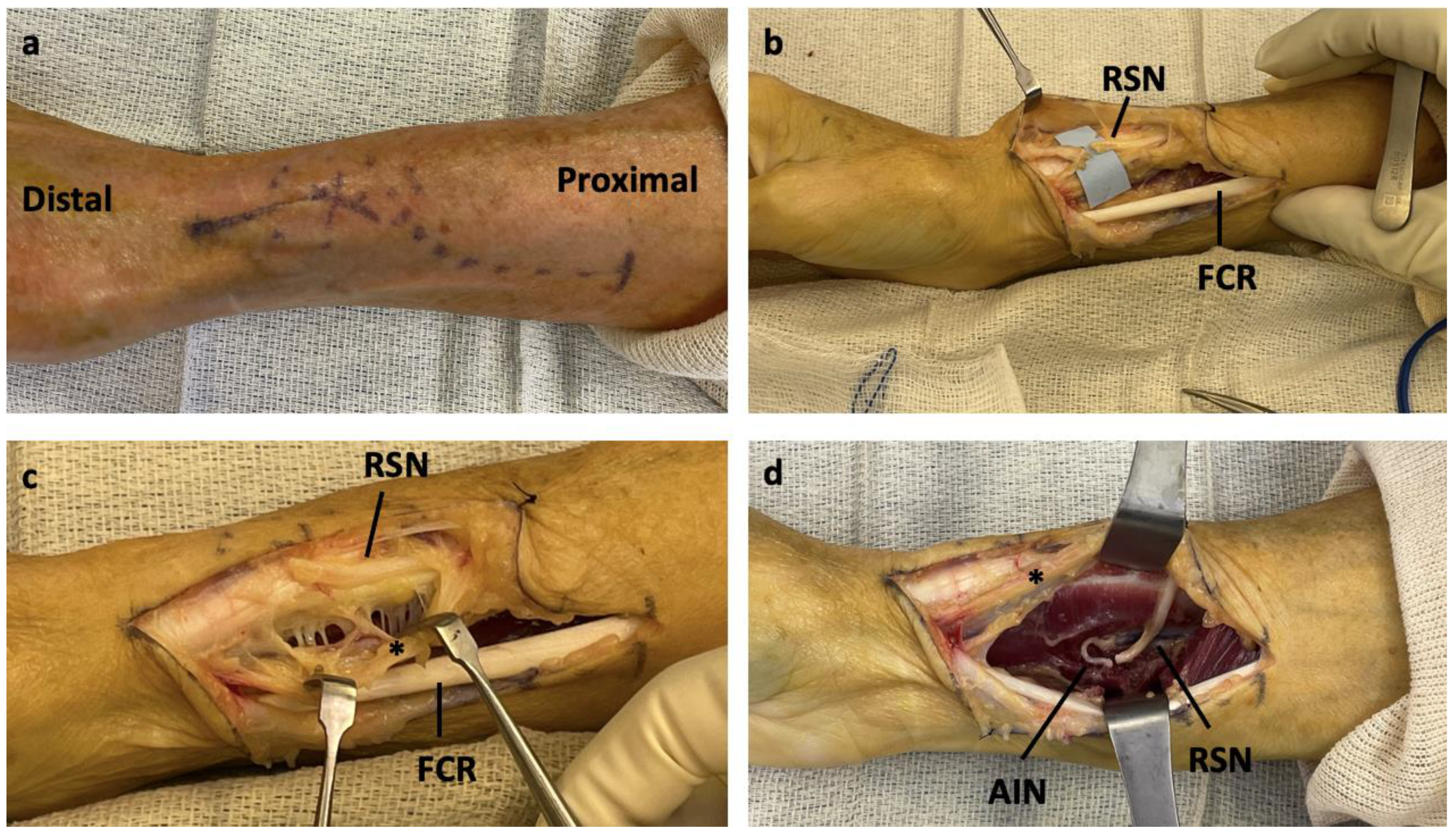 Preprints 146870 g002