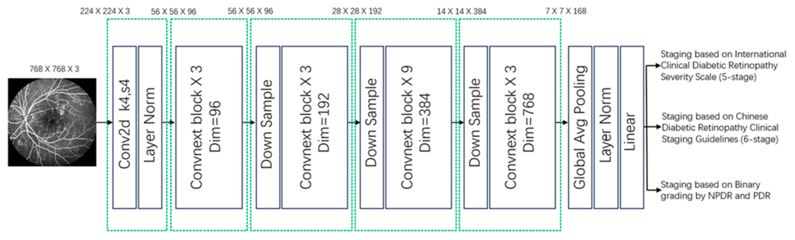 Preprints 216578 g002