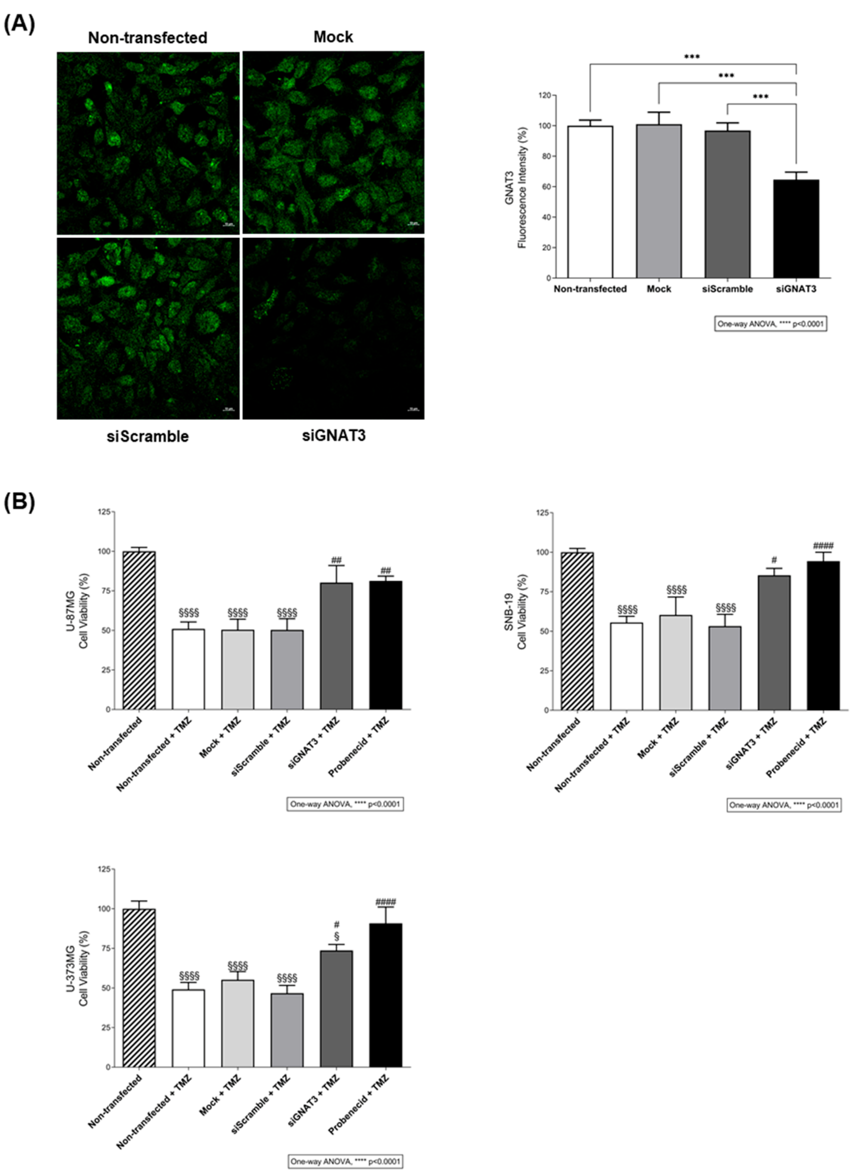 Preprints 200167 g003
