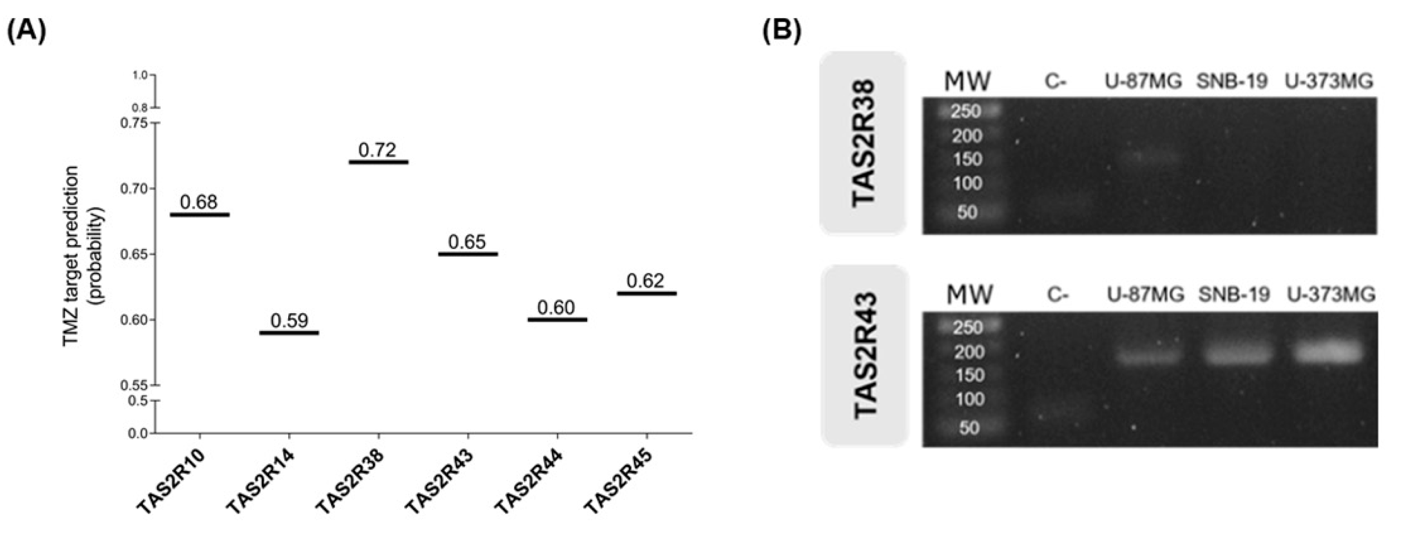 Preprints 200167 g004