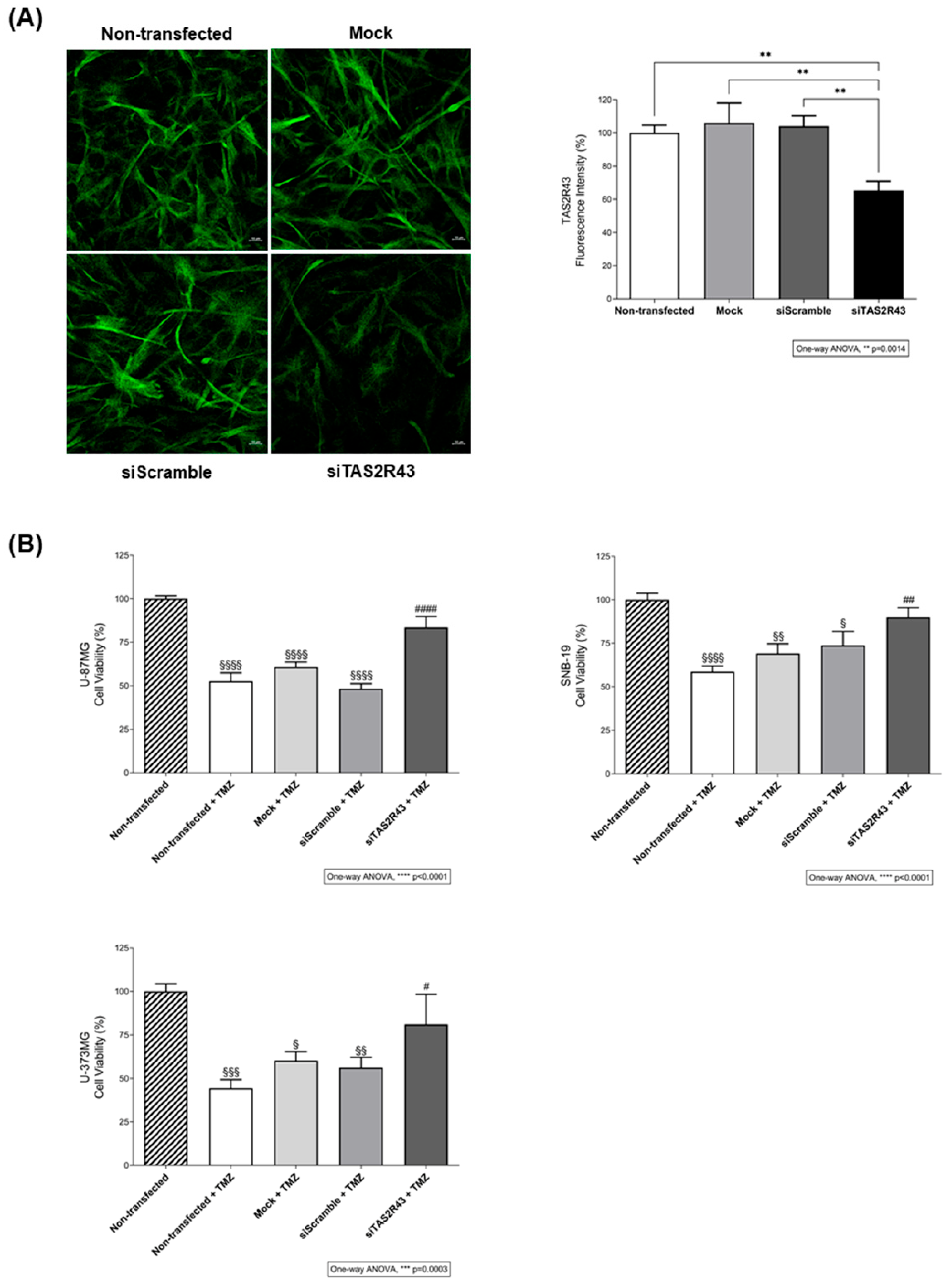 Preprints 200167 g005