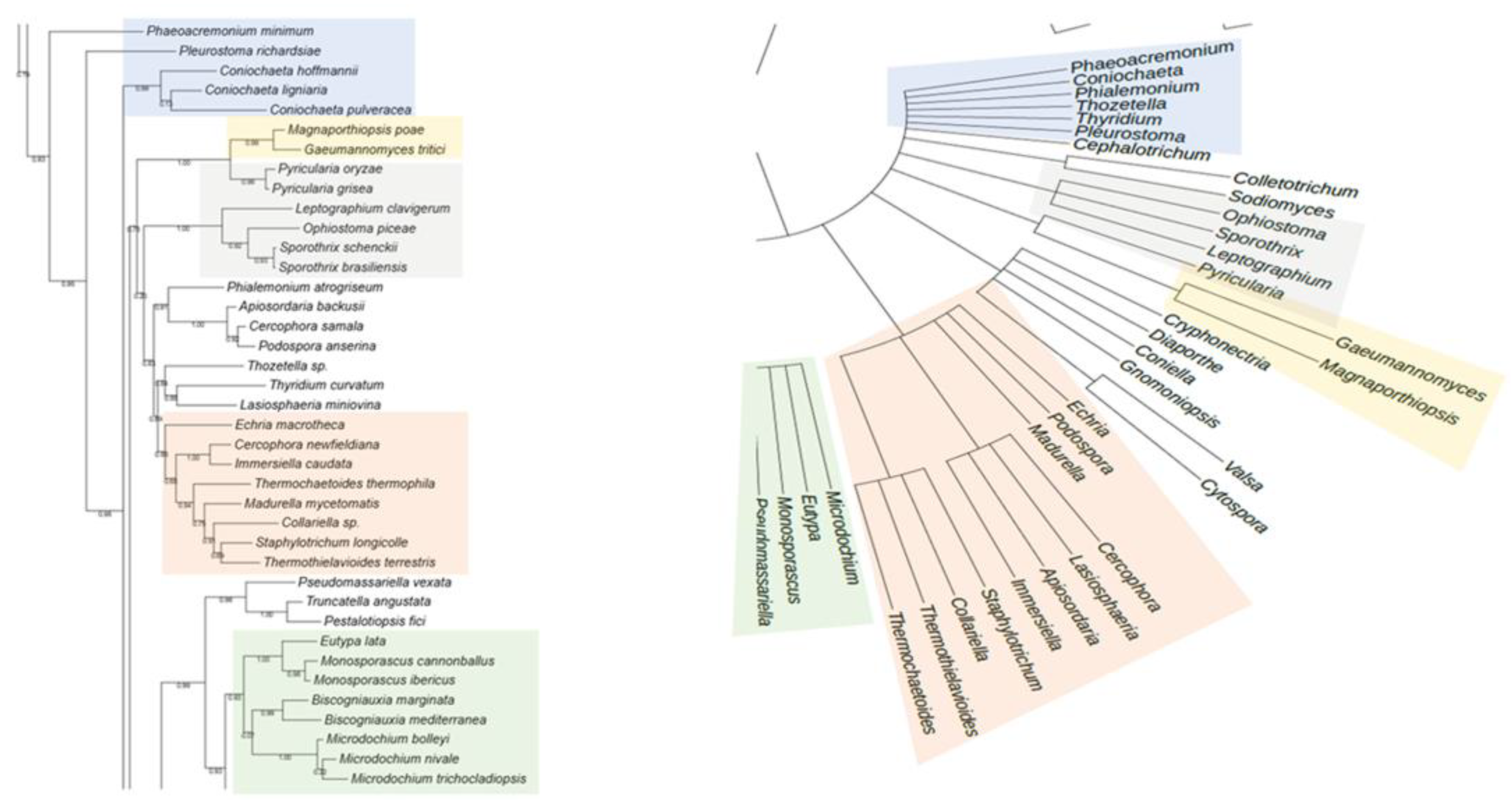 Preprints 161114 g001