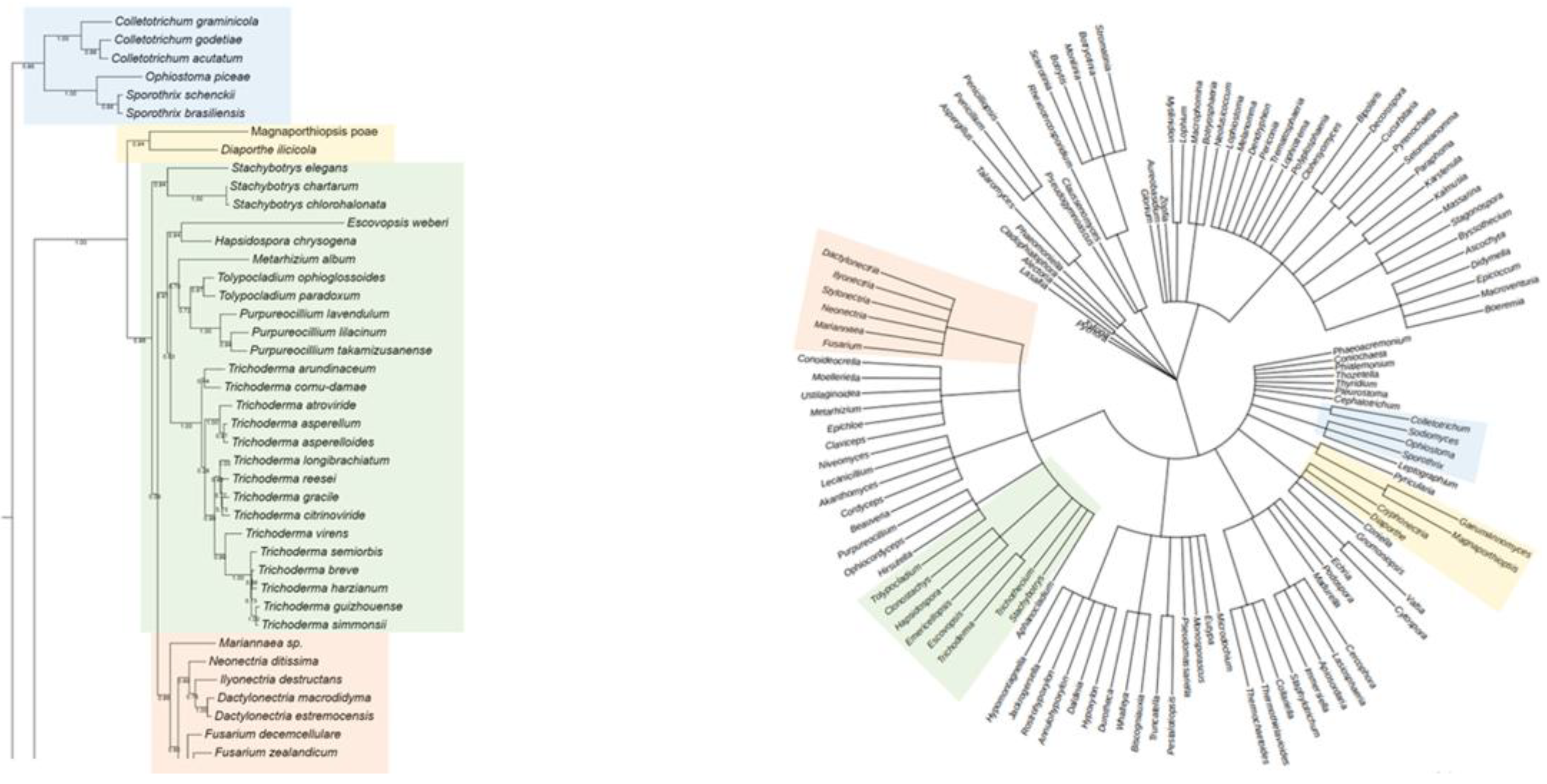 Preprints 161114 g002