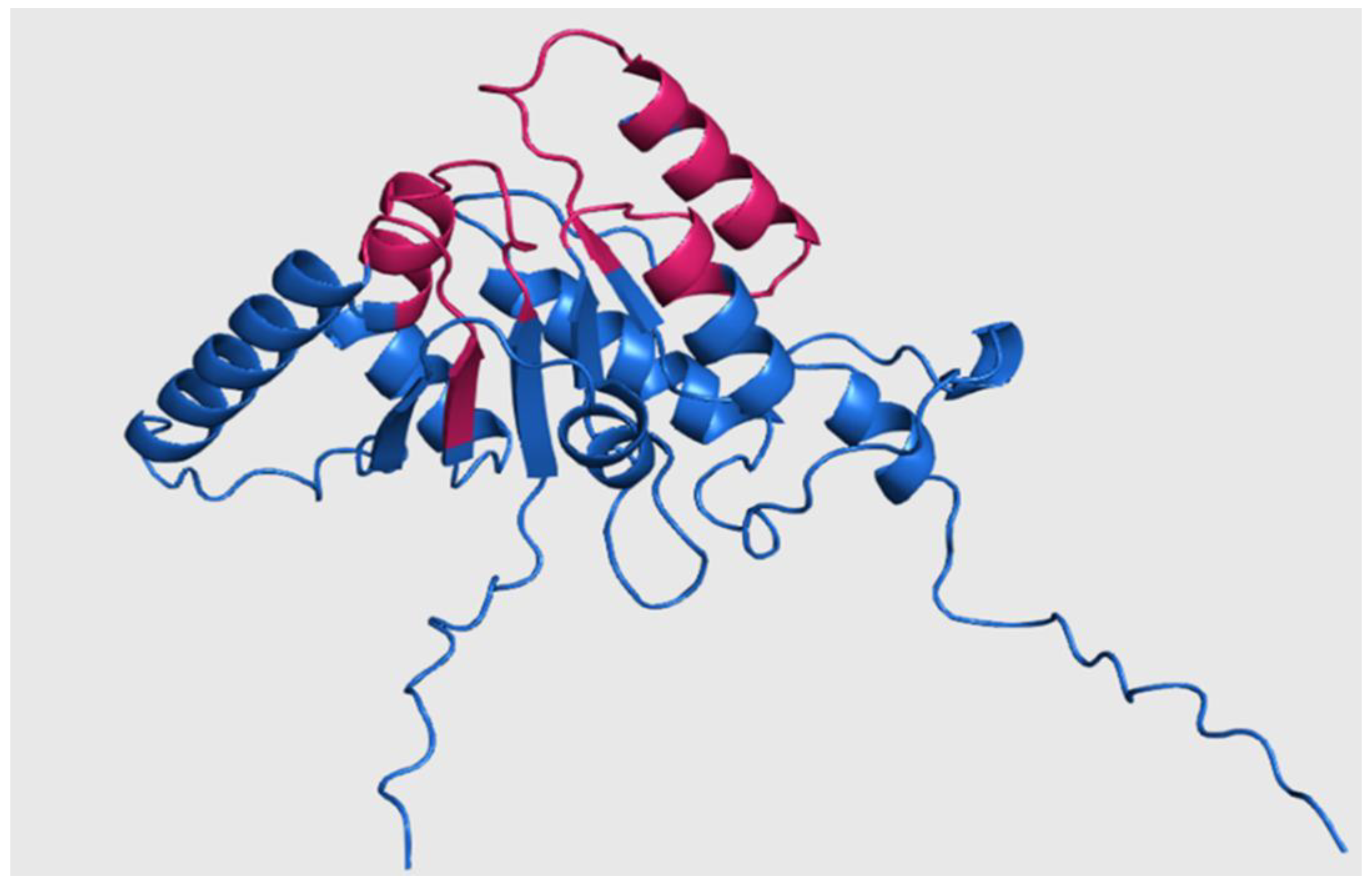 Preprints 161114 g005