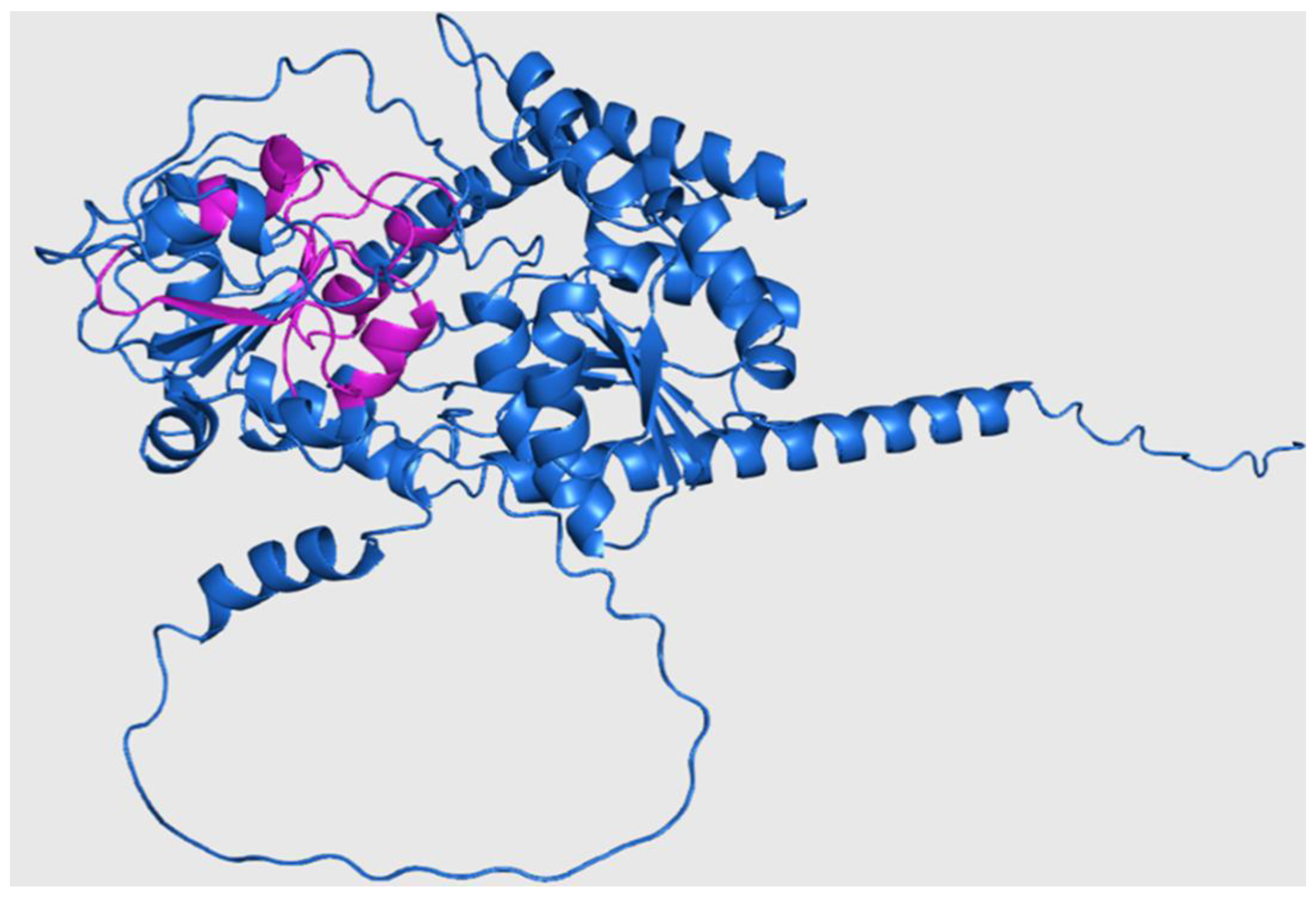 Preprints 161114 g006