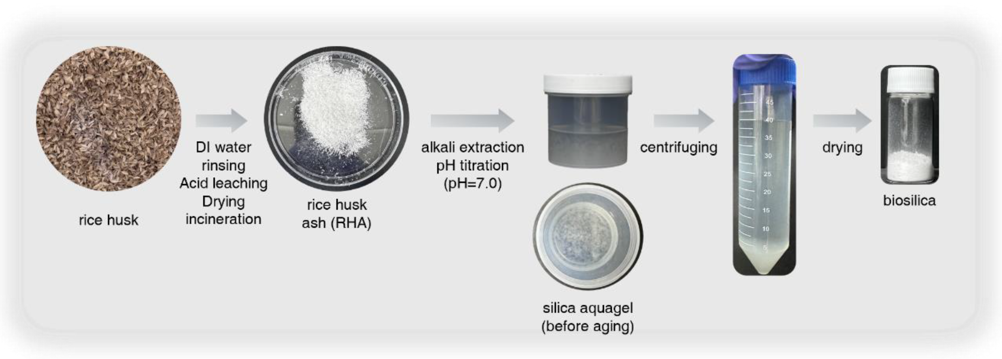 Preprints 142302 g001