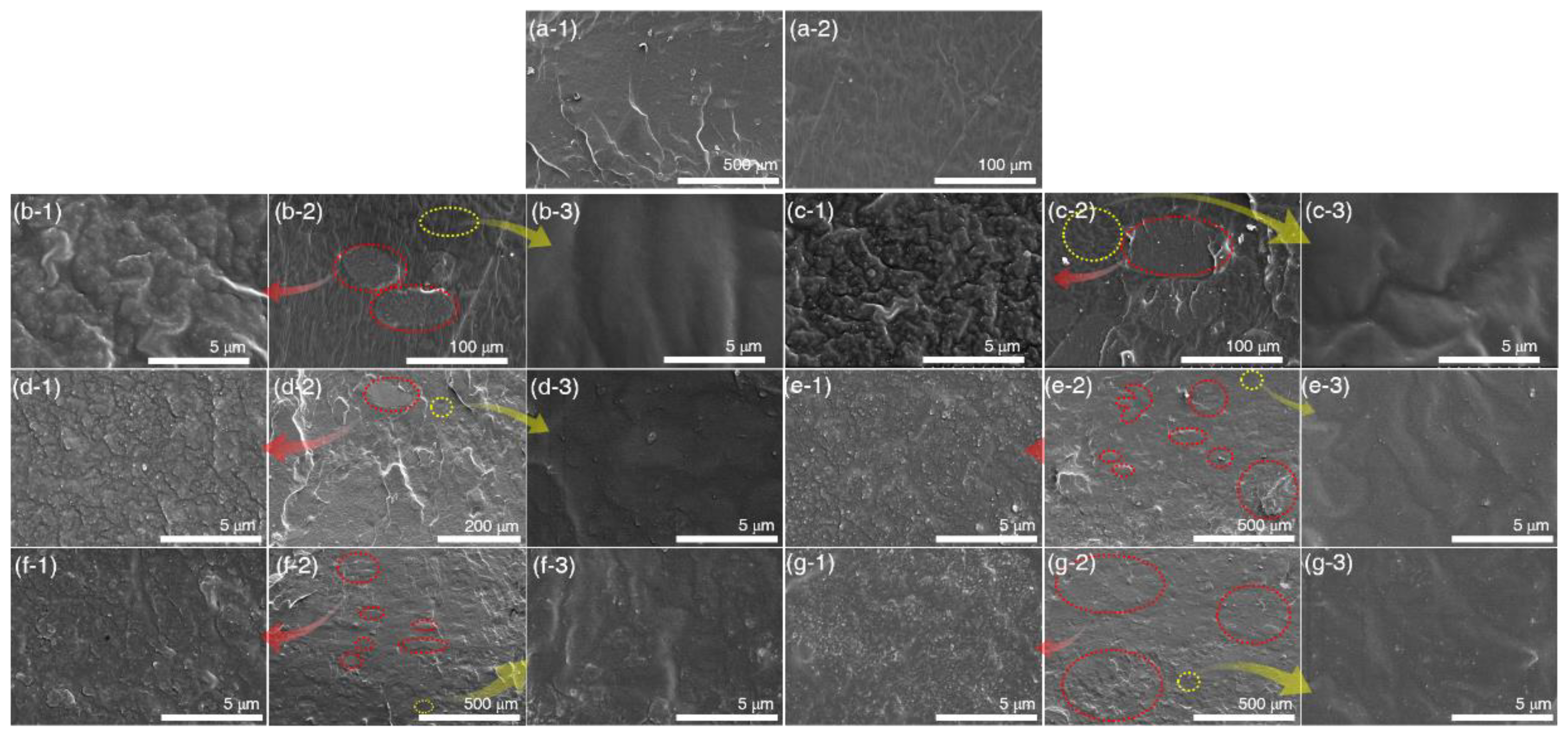 Preprints 142302 g007
