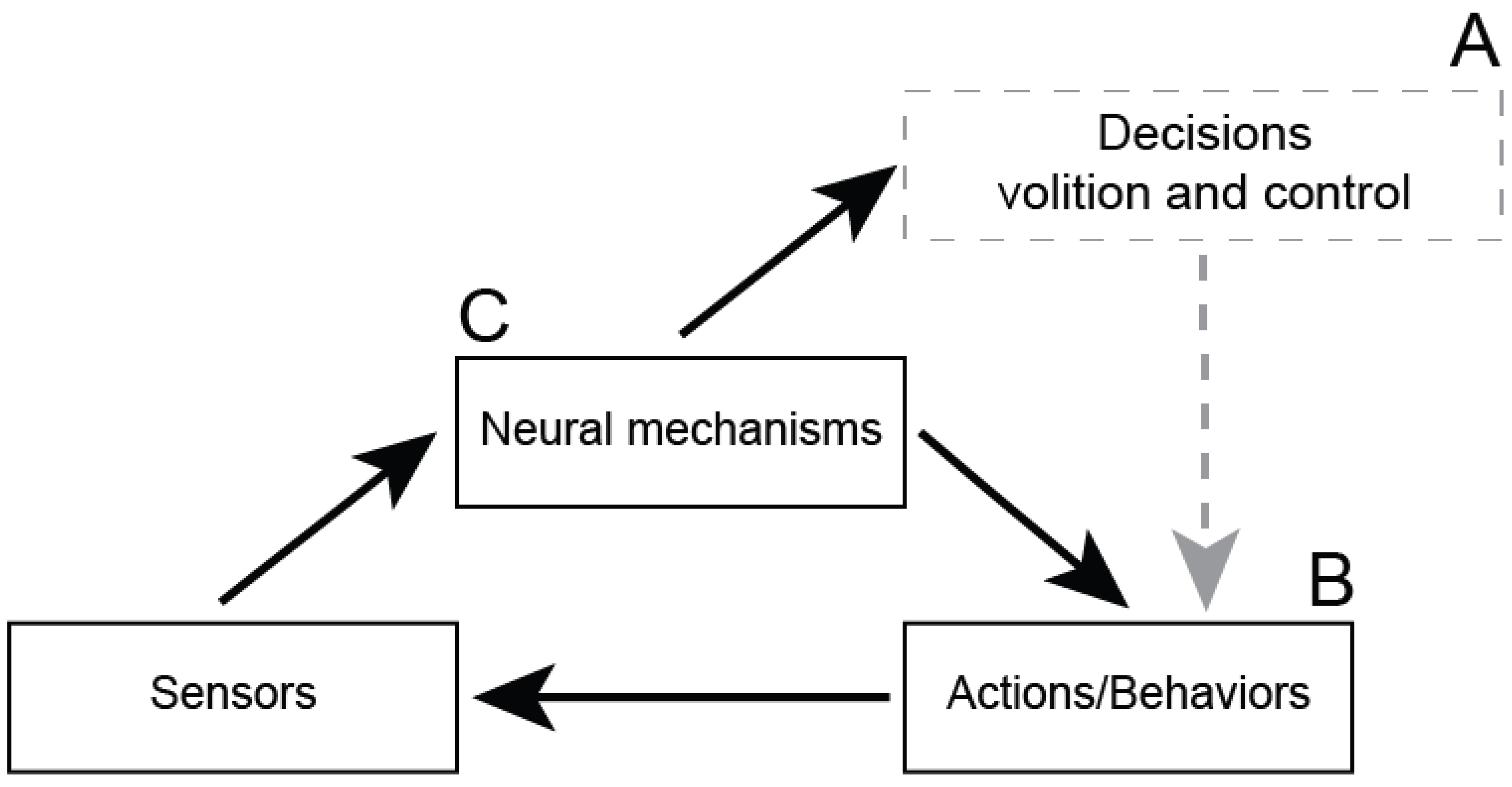 Preprints 167626 g002