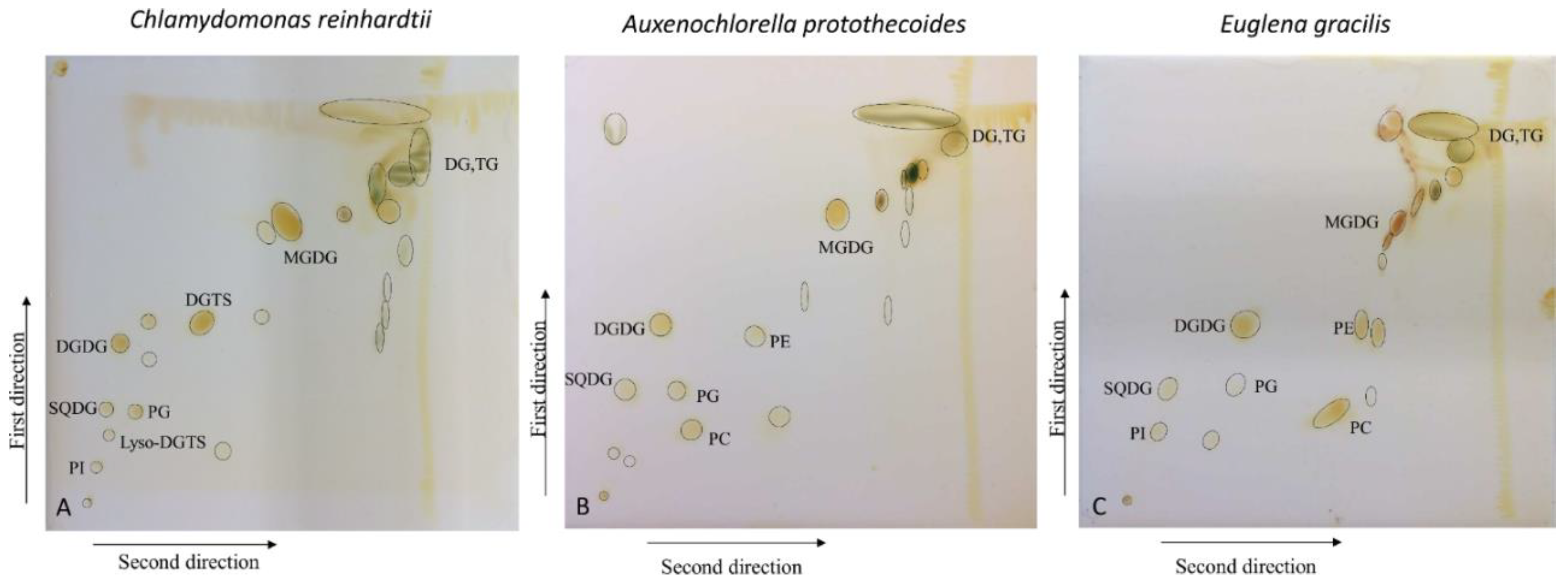 Preprints 105598 g001