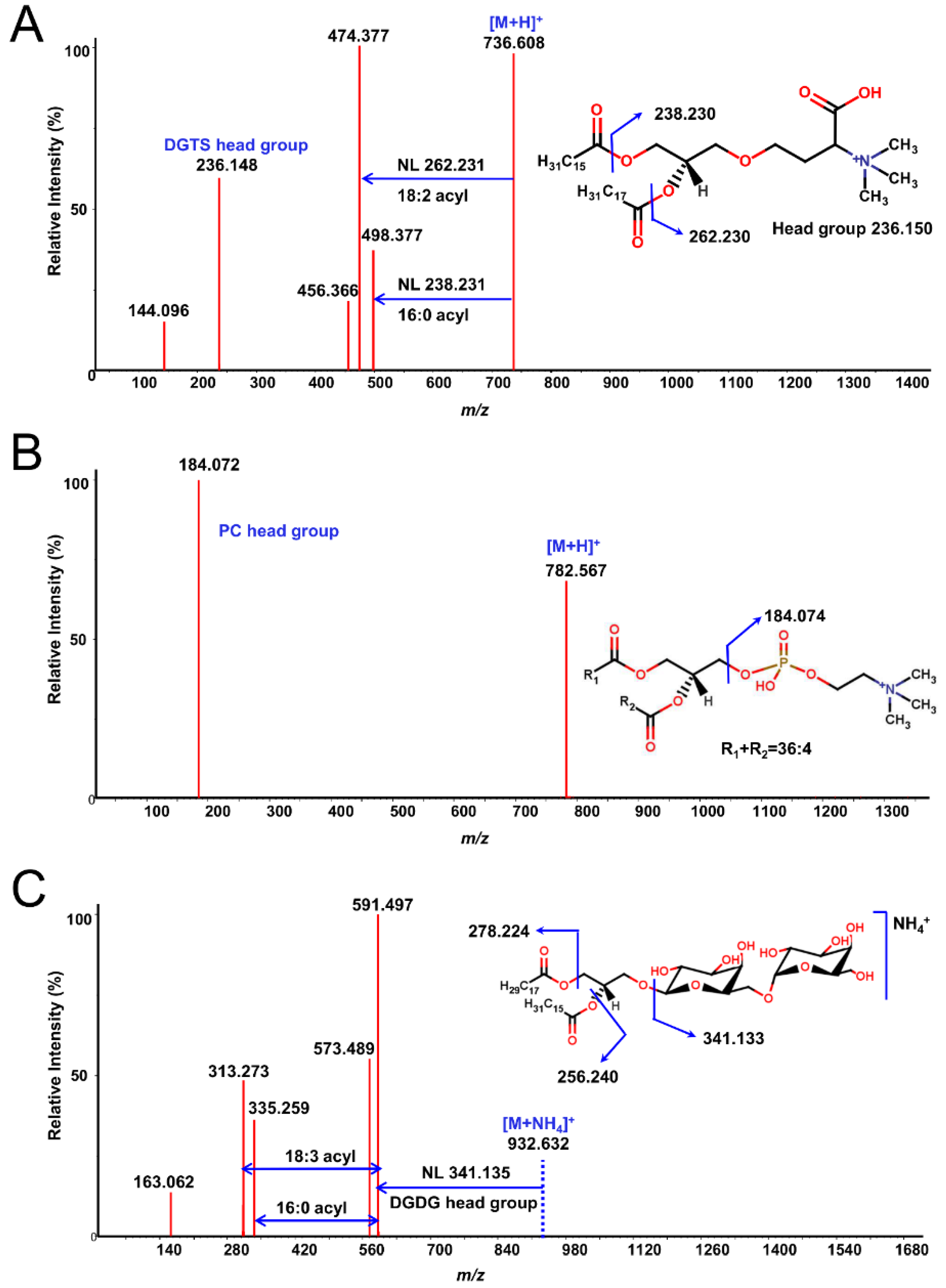 Preprints 105598 g002
