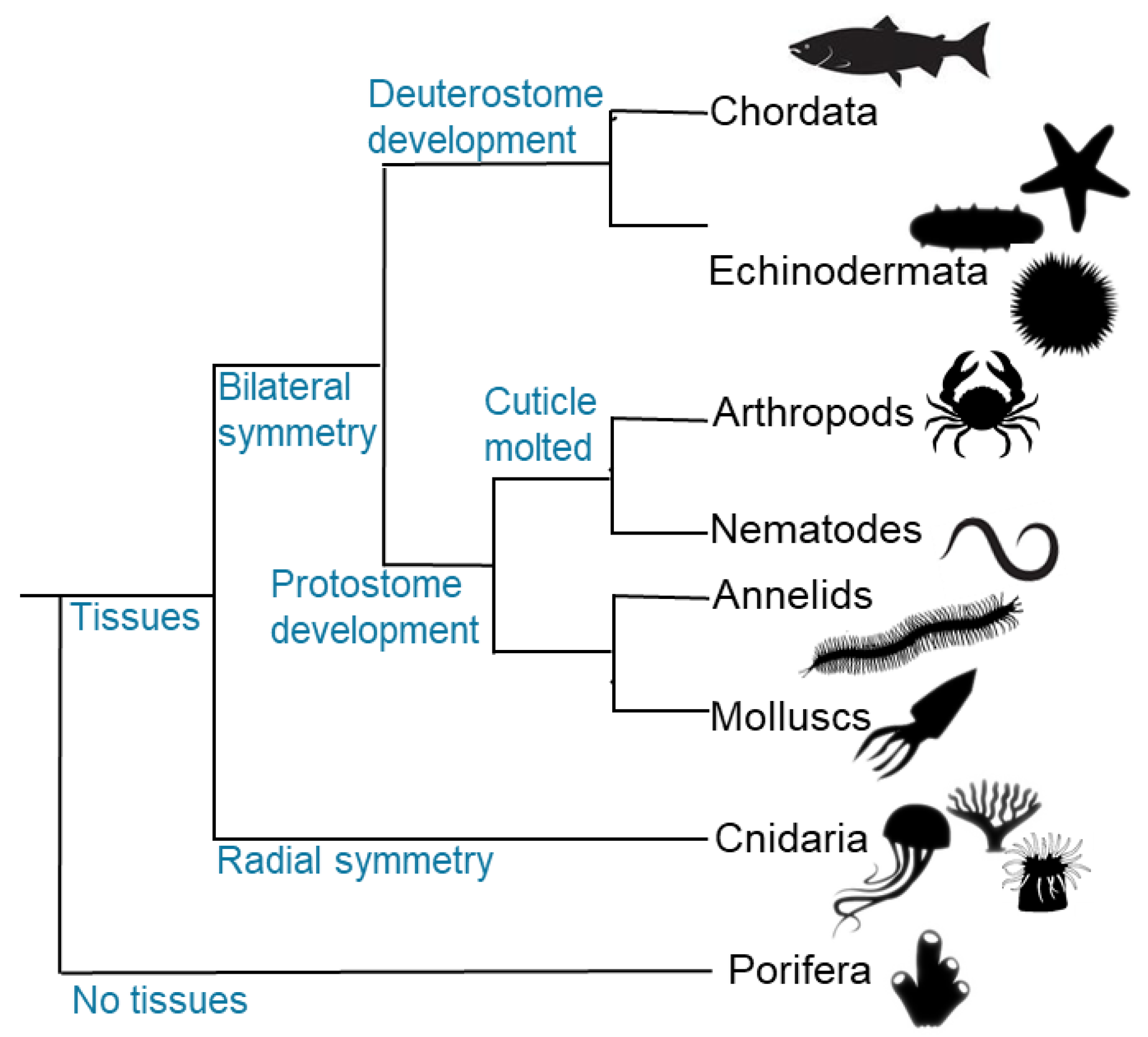 Preprints 142120 g001