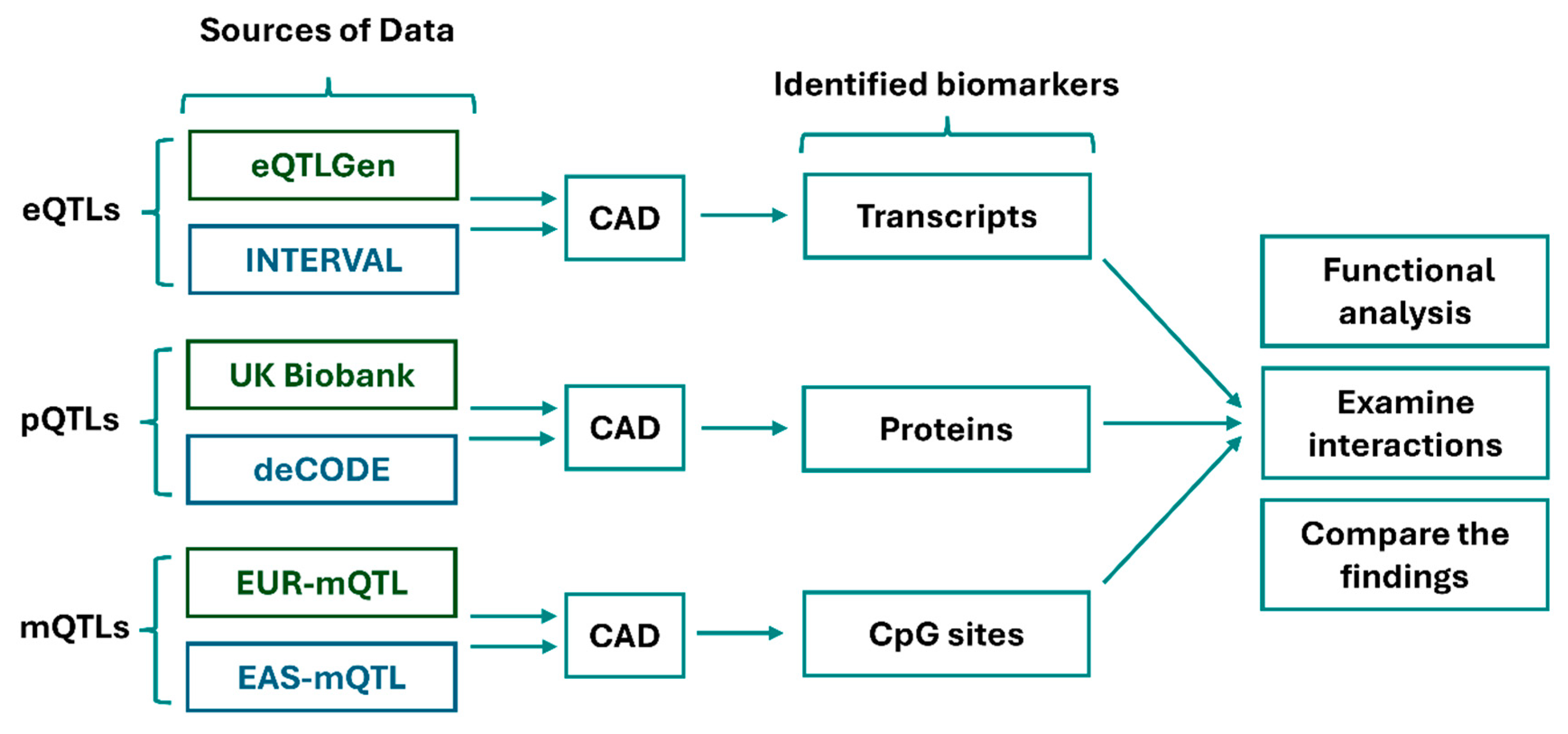 Preprints 206243 g001