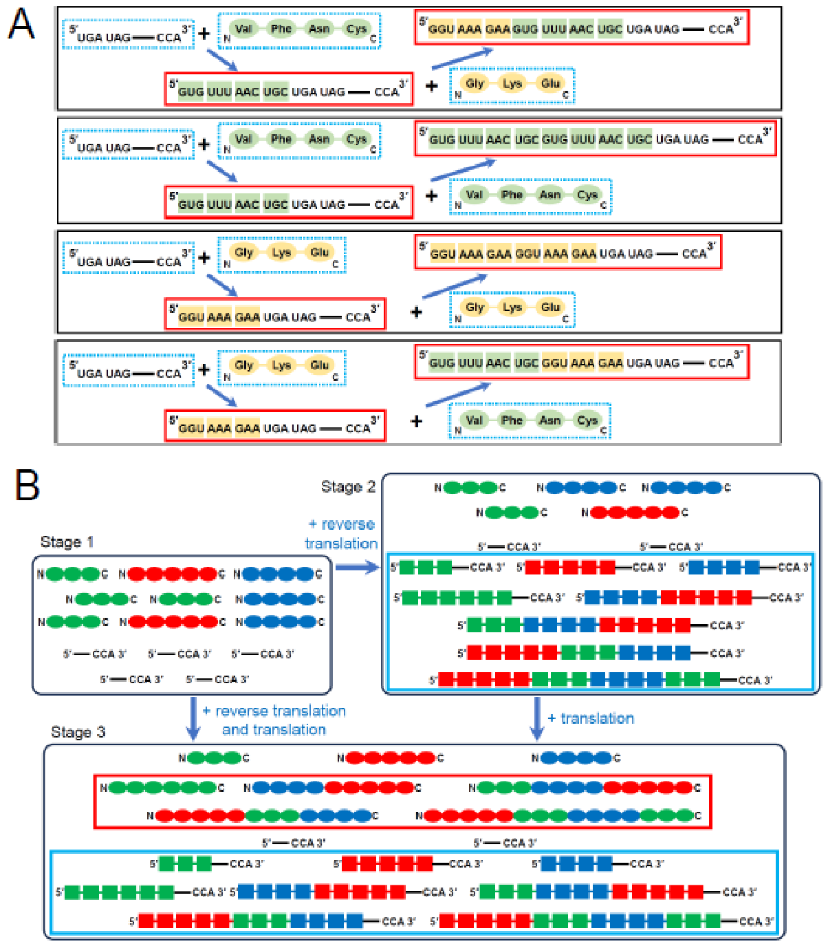 Preprints 237957 i004 Preprints 237957 i004