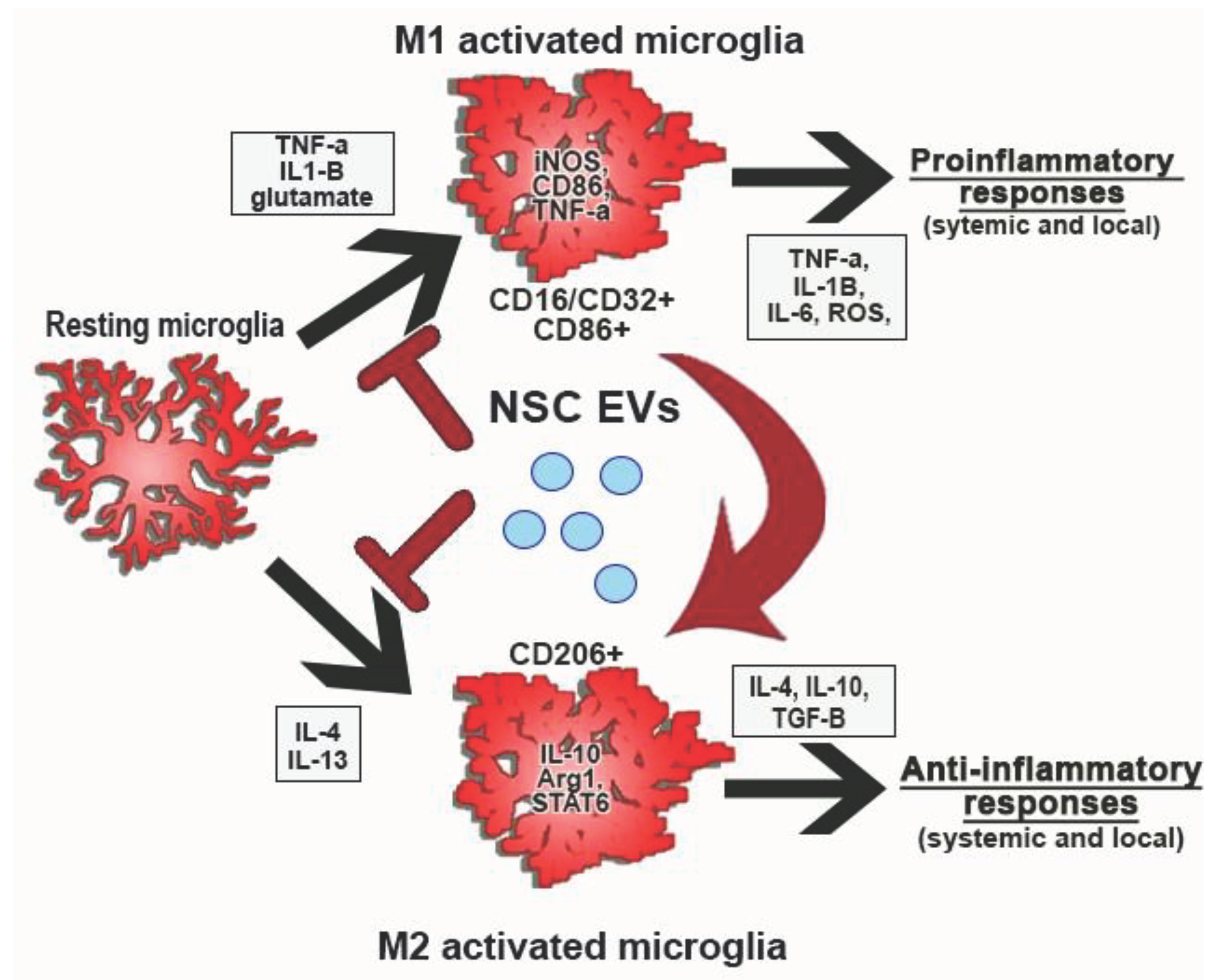 Preprints 102629 g001