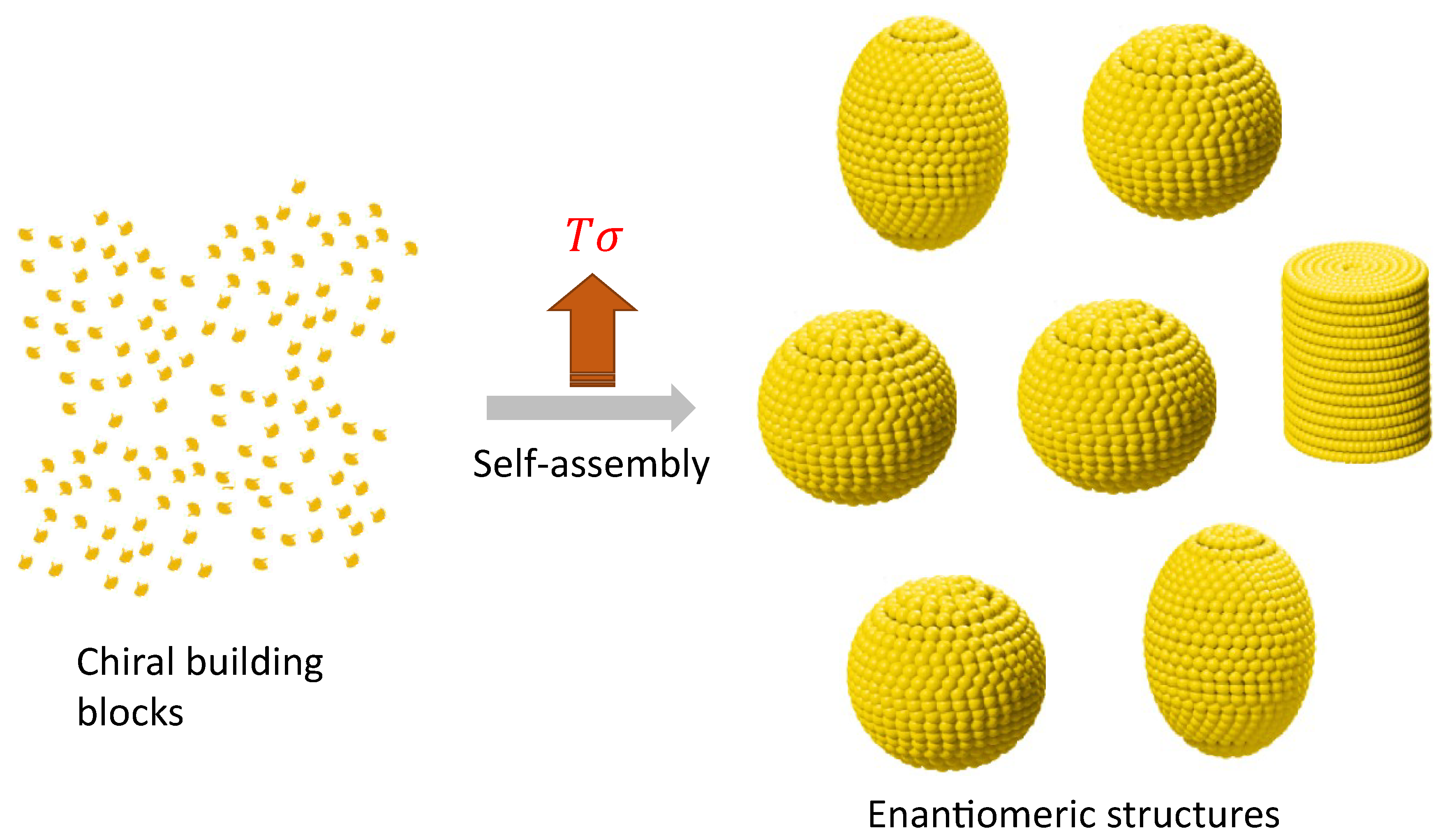 Preprints 97794 g006