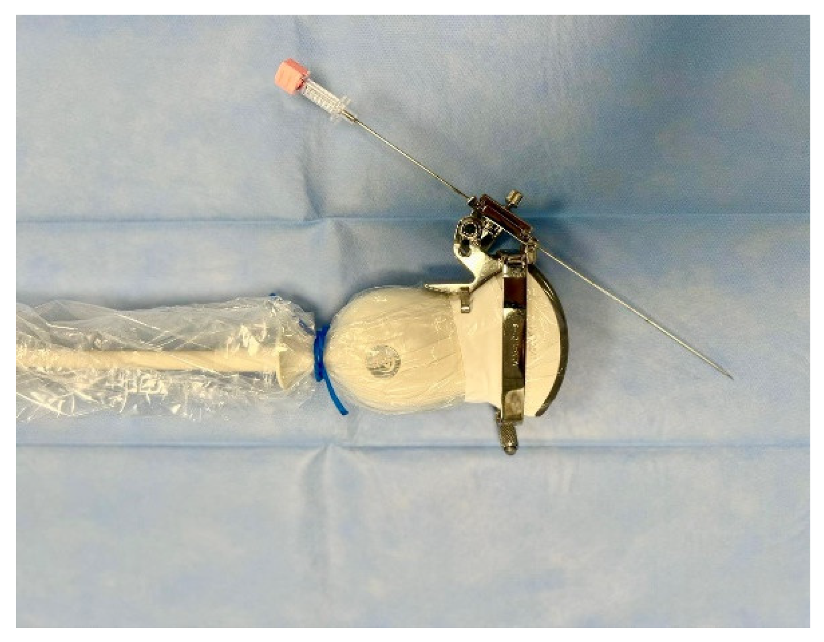 Preprints 146866 g001