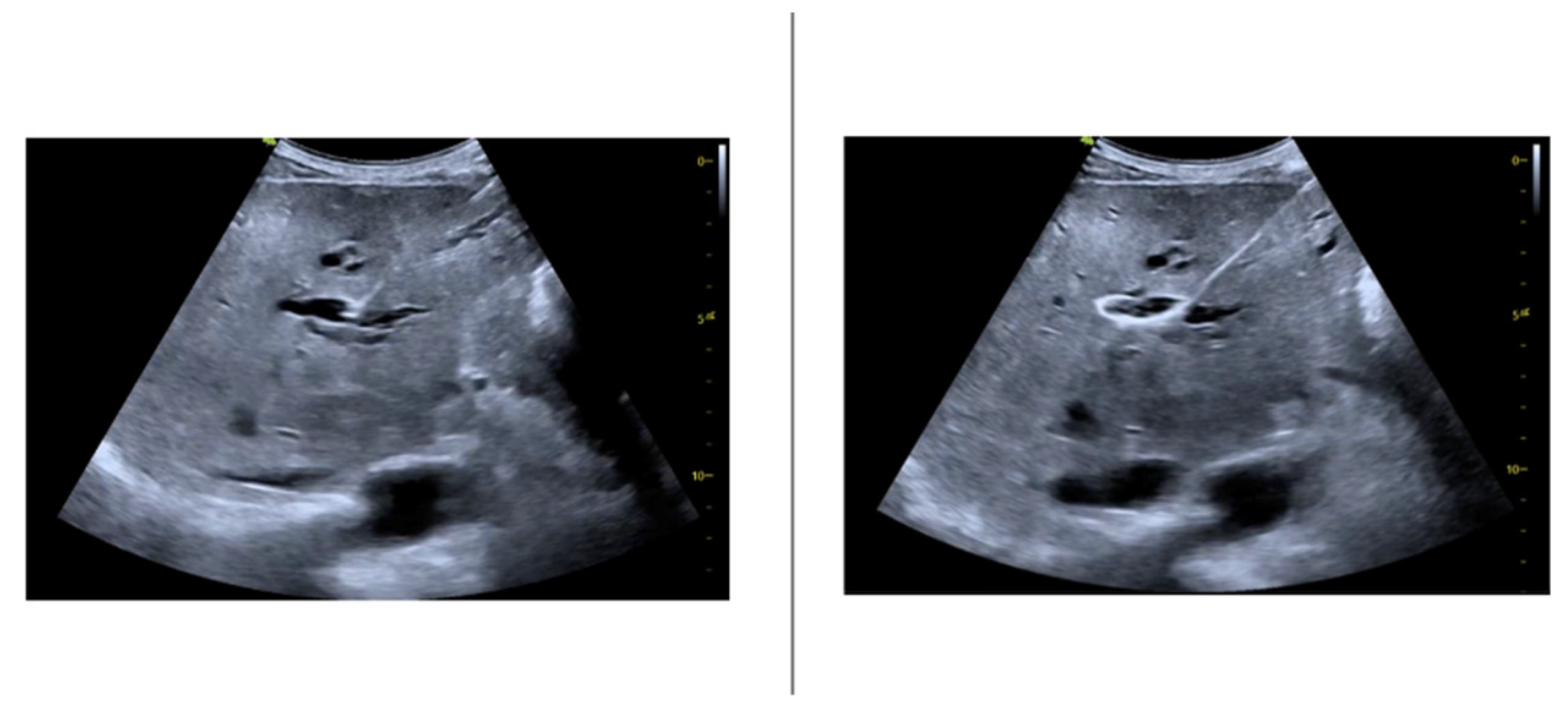 Preprints 146866 g002