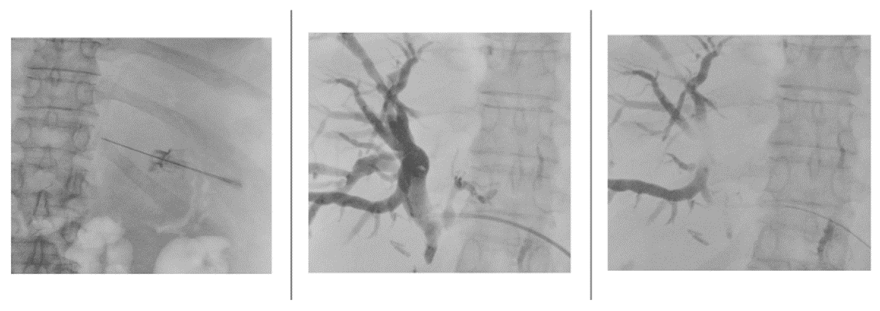 Preprints 146866 g003