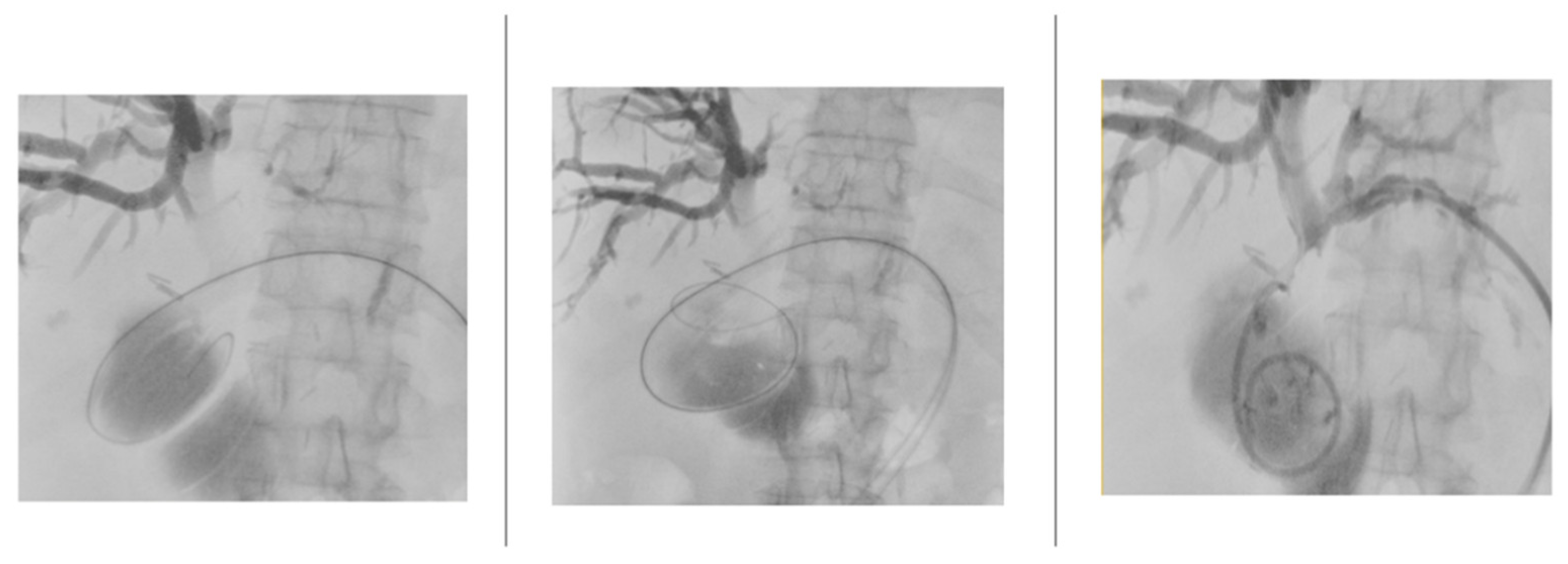 Preprints 146866 g004