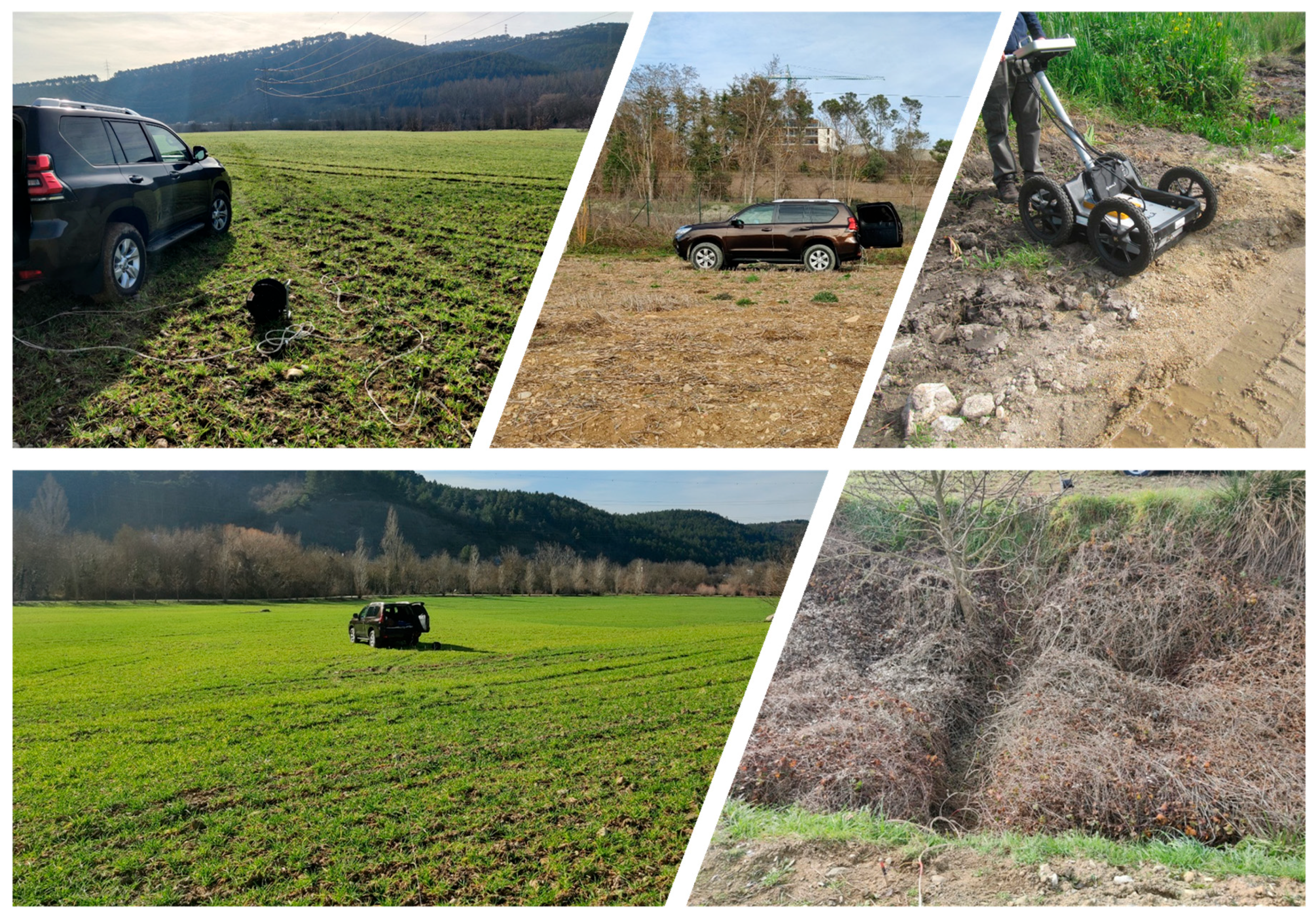 Preprints 193032 g003