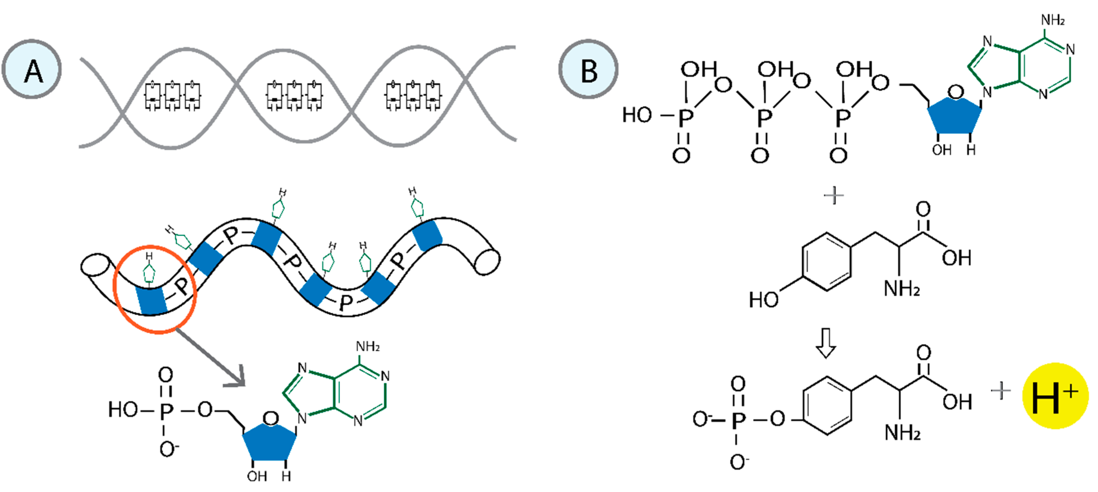 Preprints 165619 g001