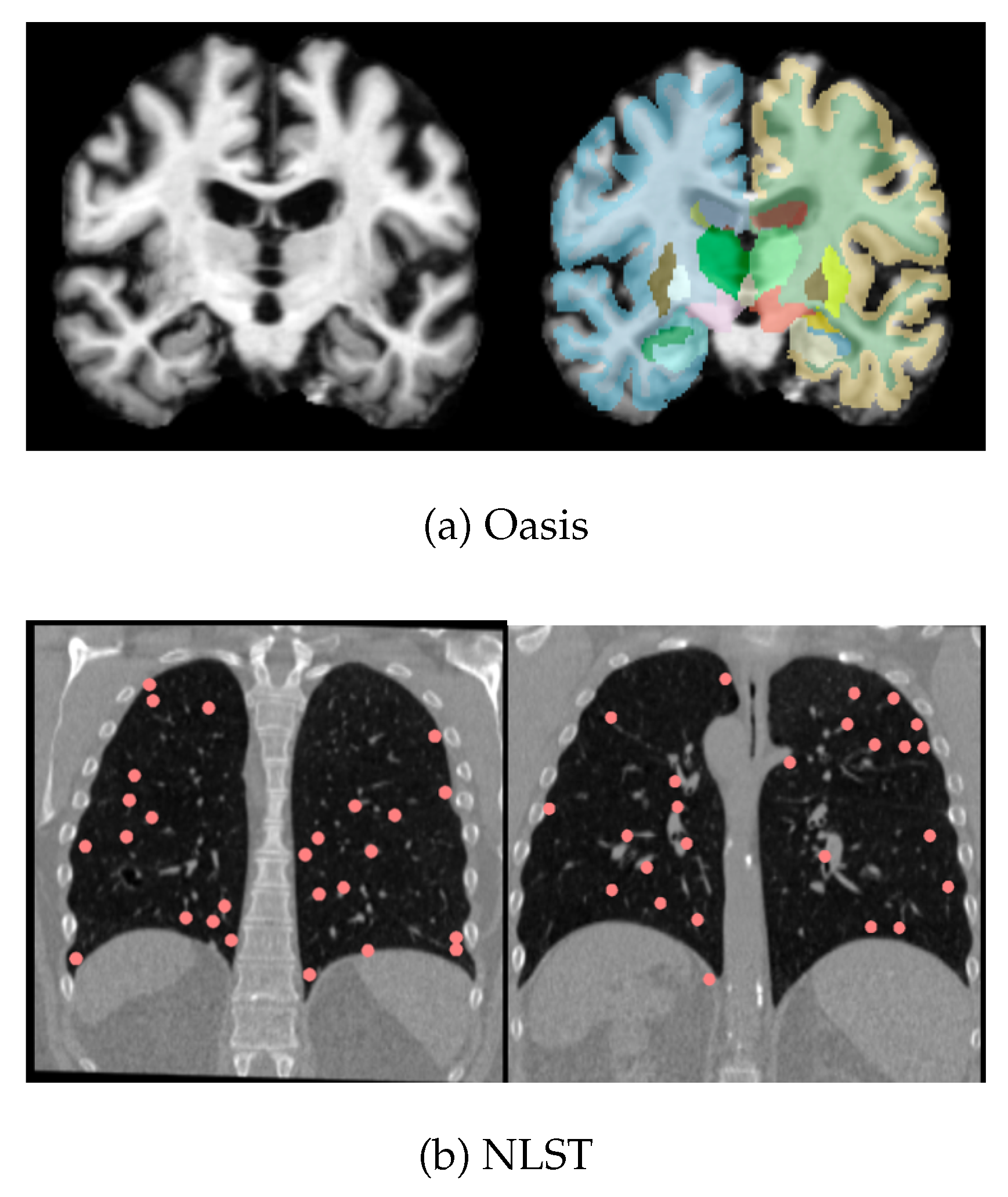 Preprints 196529 g003