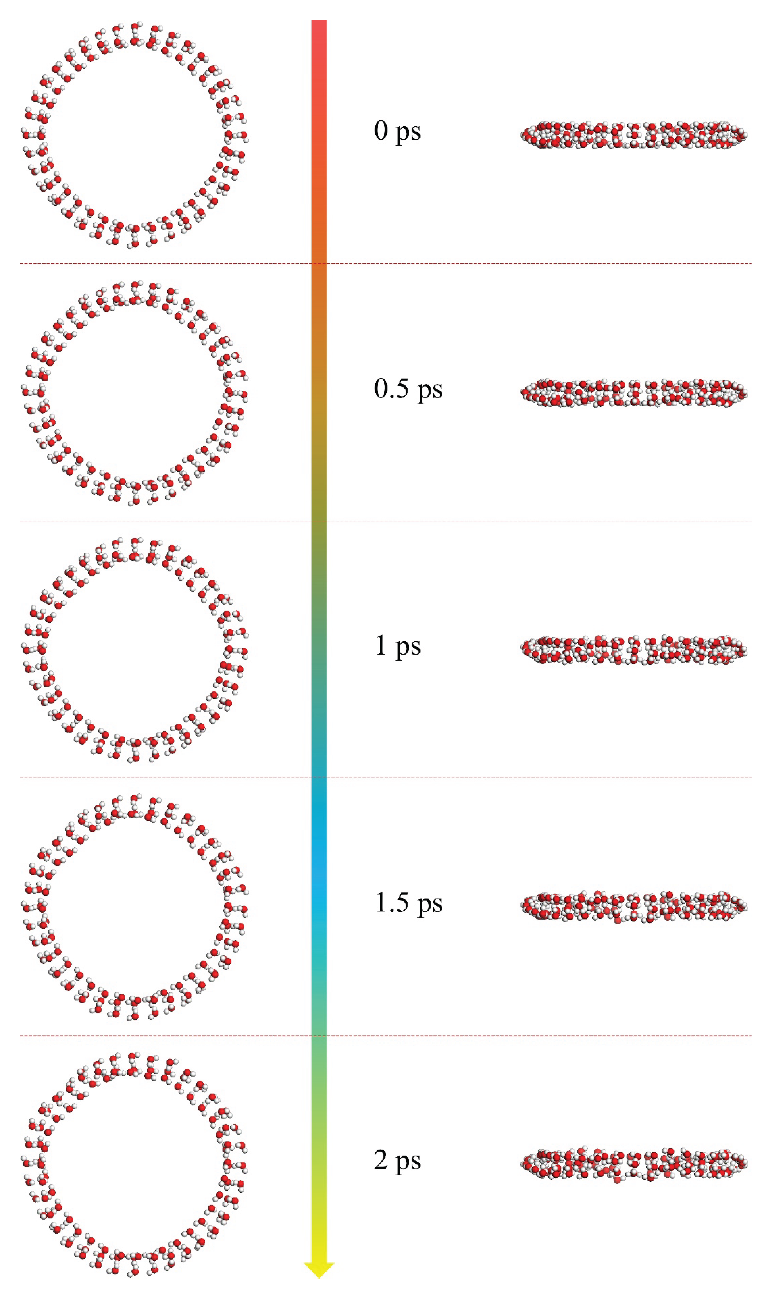 Preprints 229080 g008