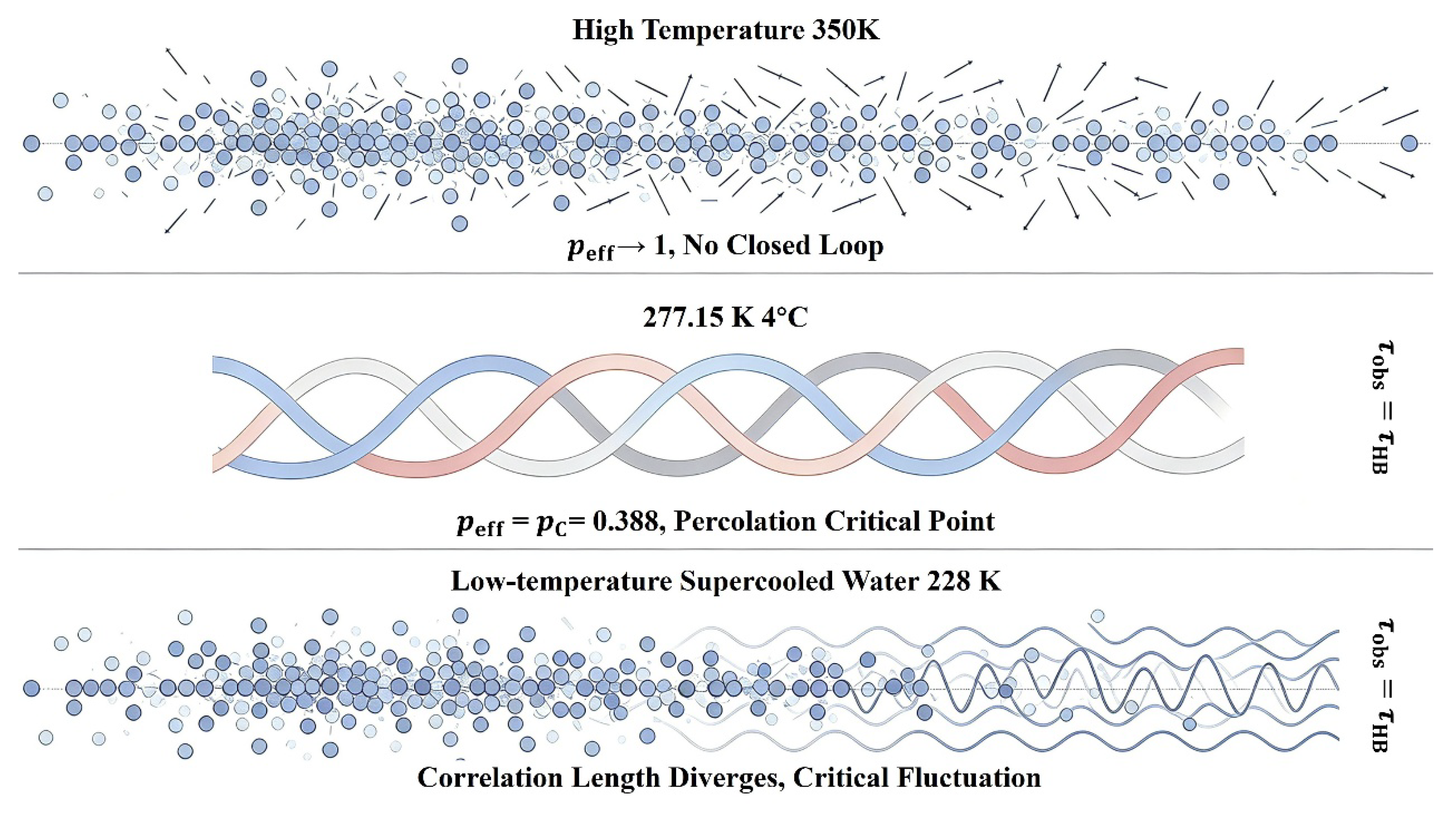 Preprints 229080 g012