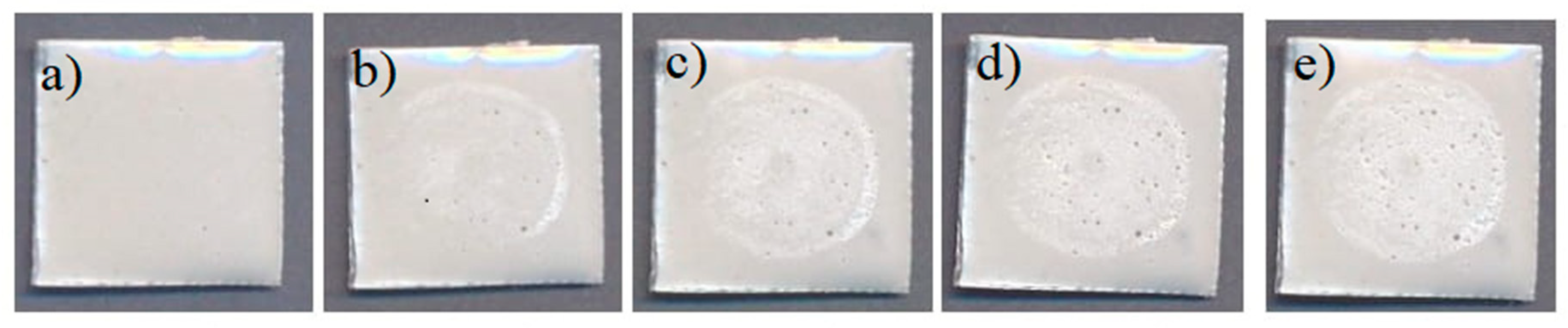 Preprints 144066 g005