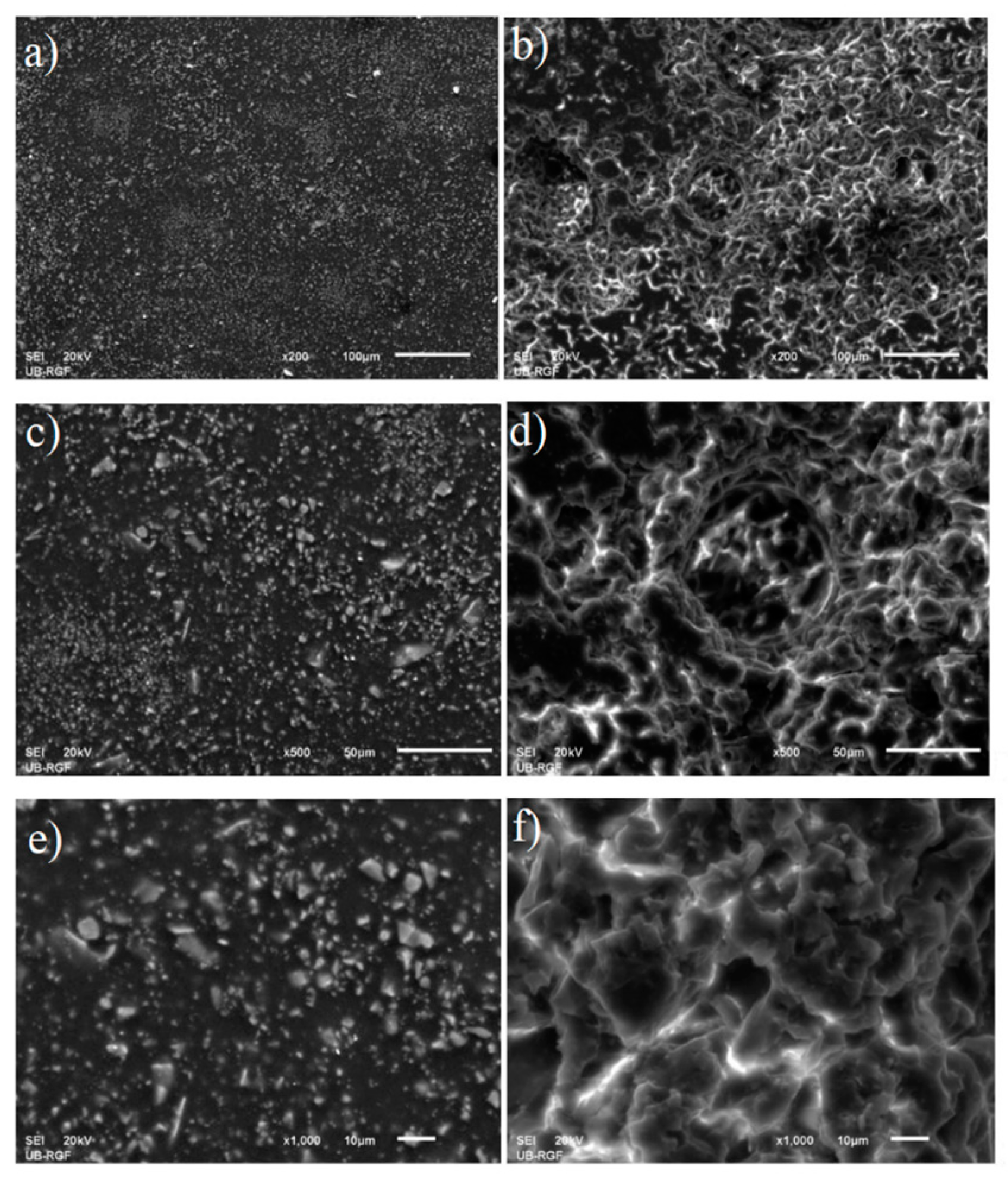 Preprints 144066 g007