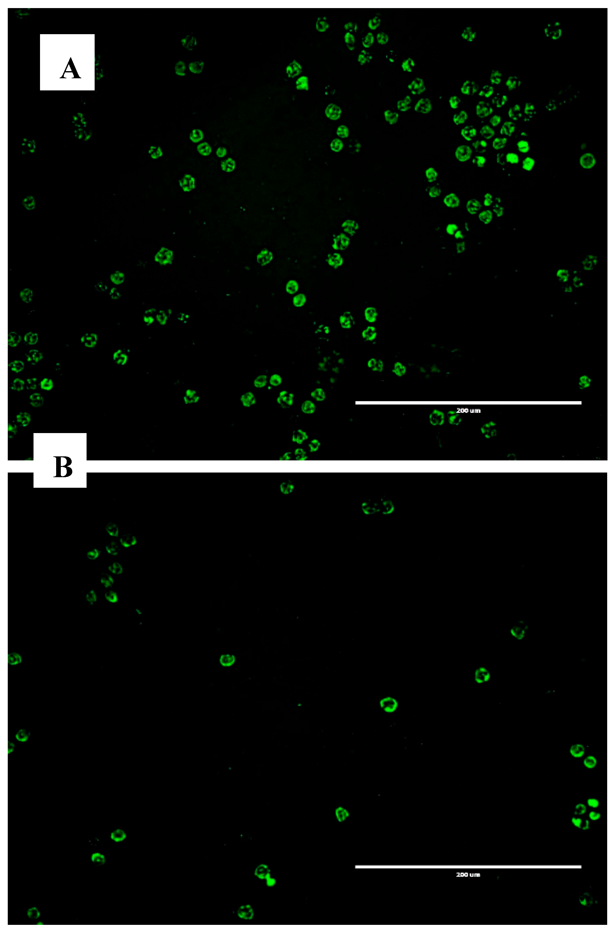 Preprints 163187 g001