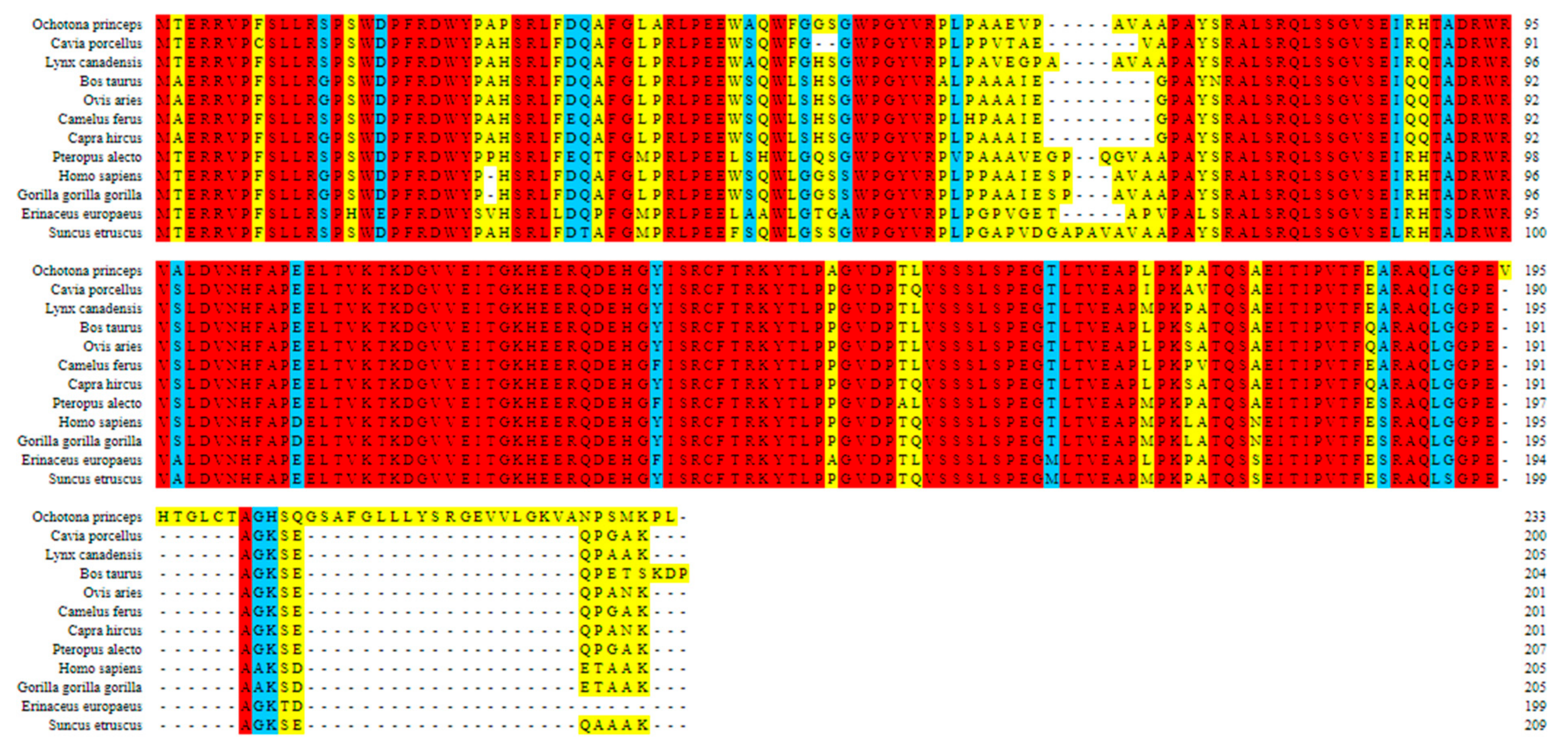 Preprints 155509 g001