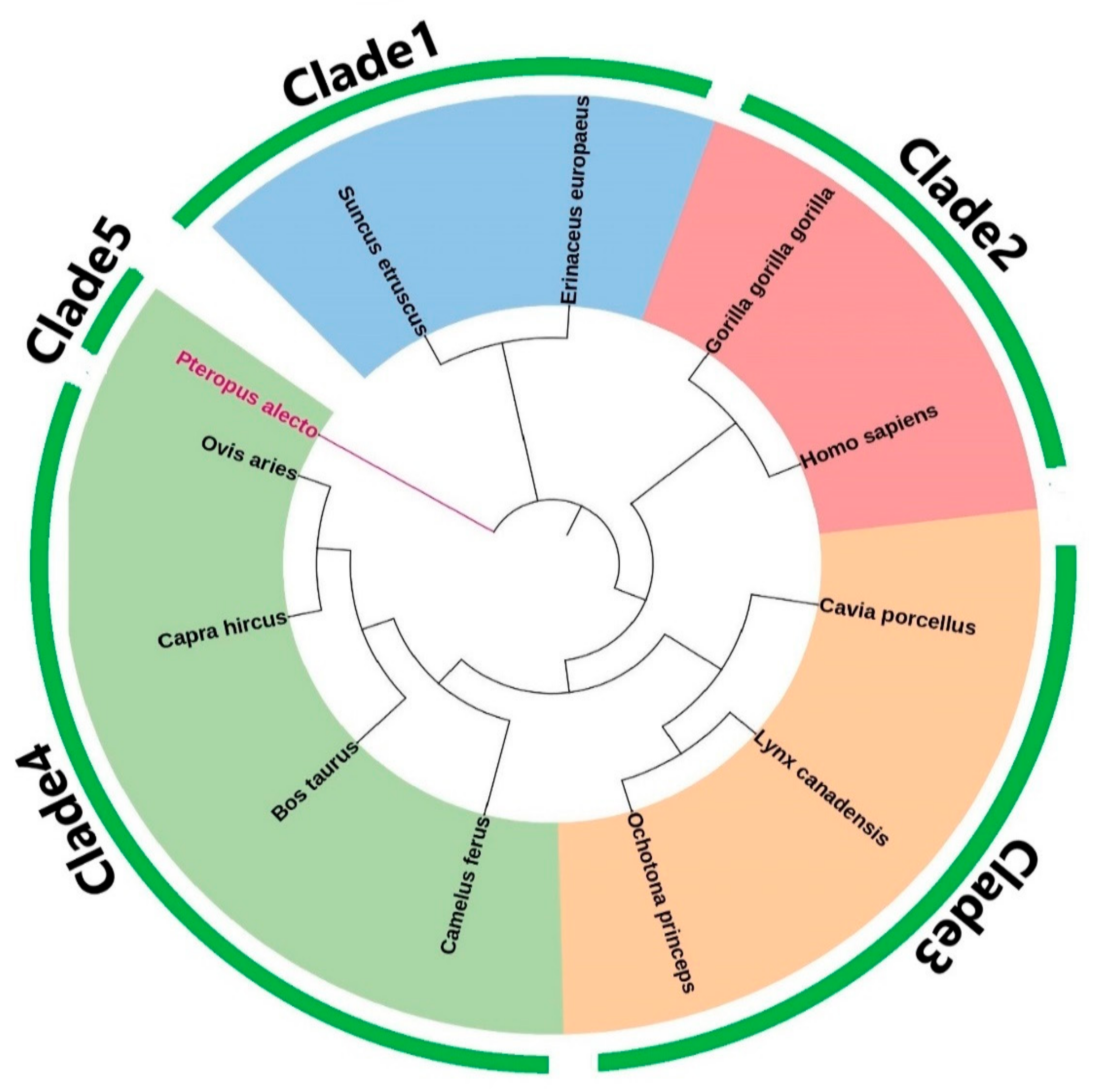 Preprints 155509 g003