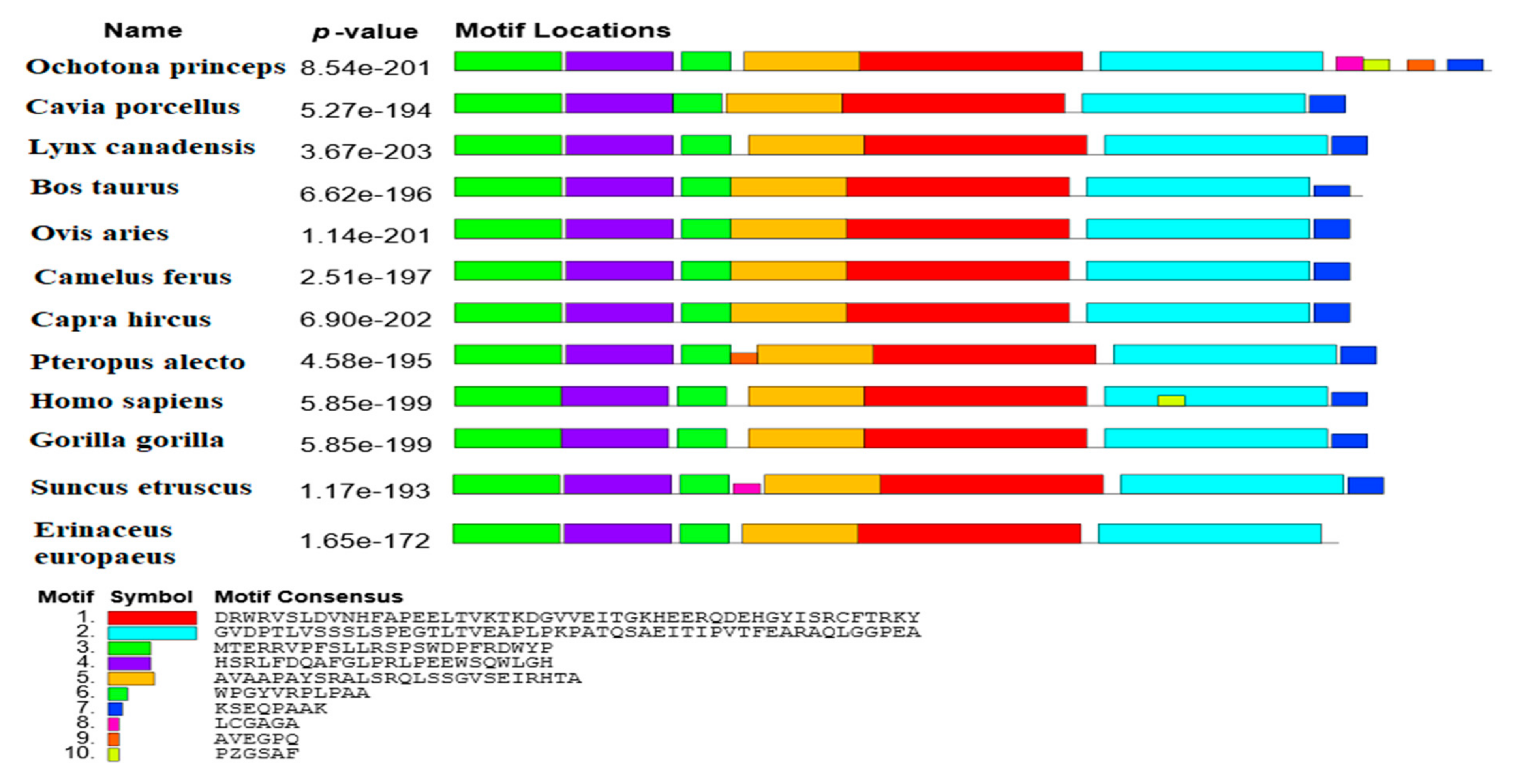 Preprints 155509 g004