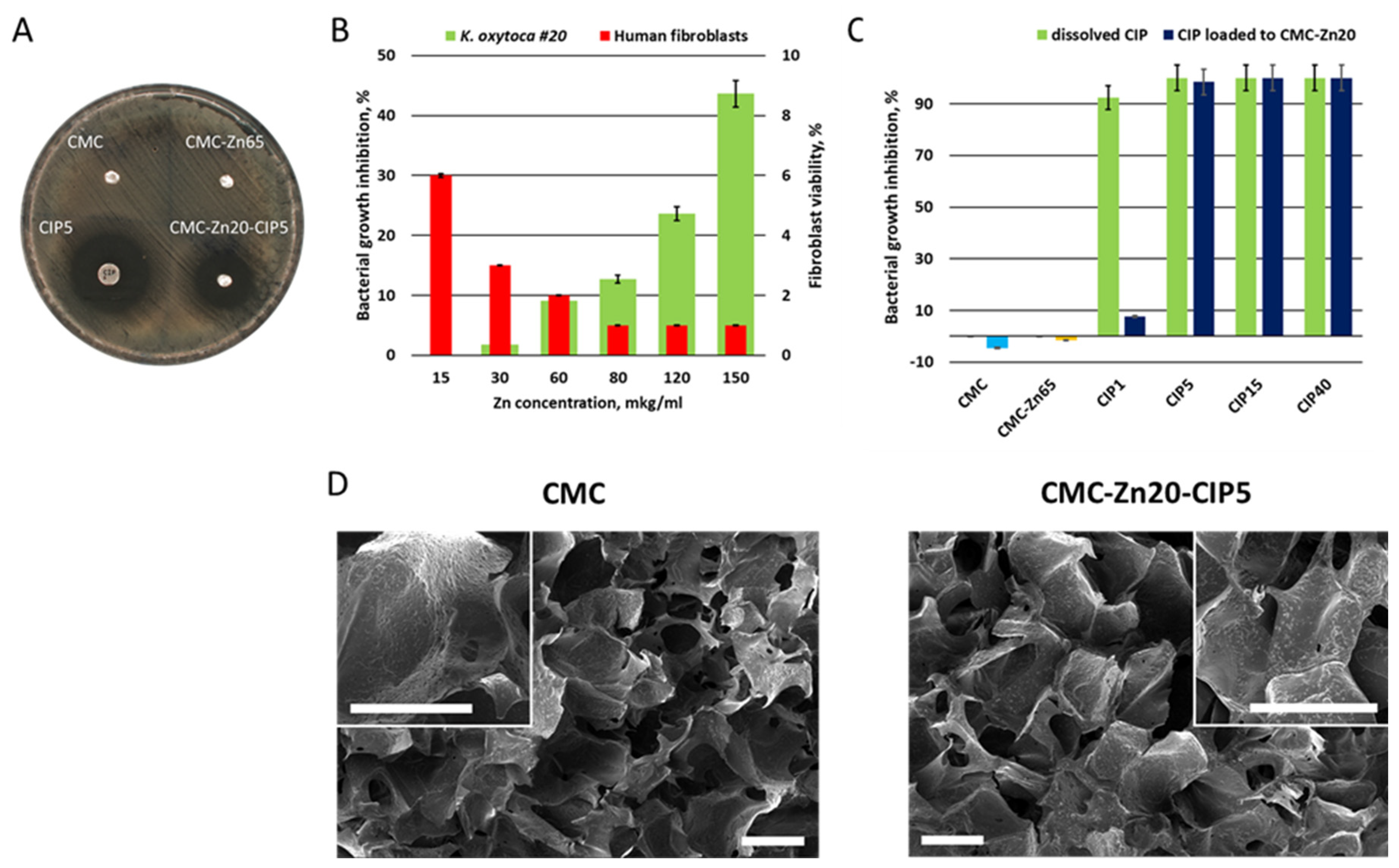 Preprints 142412 g002