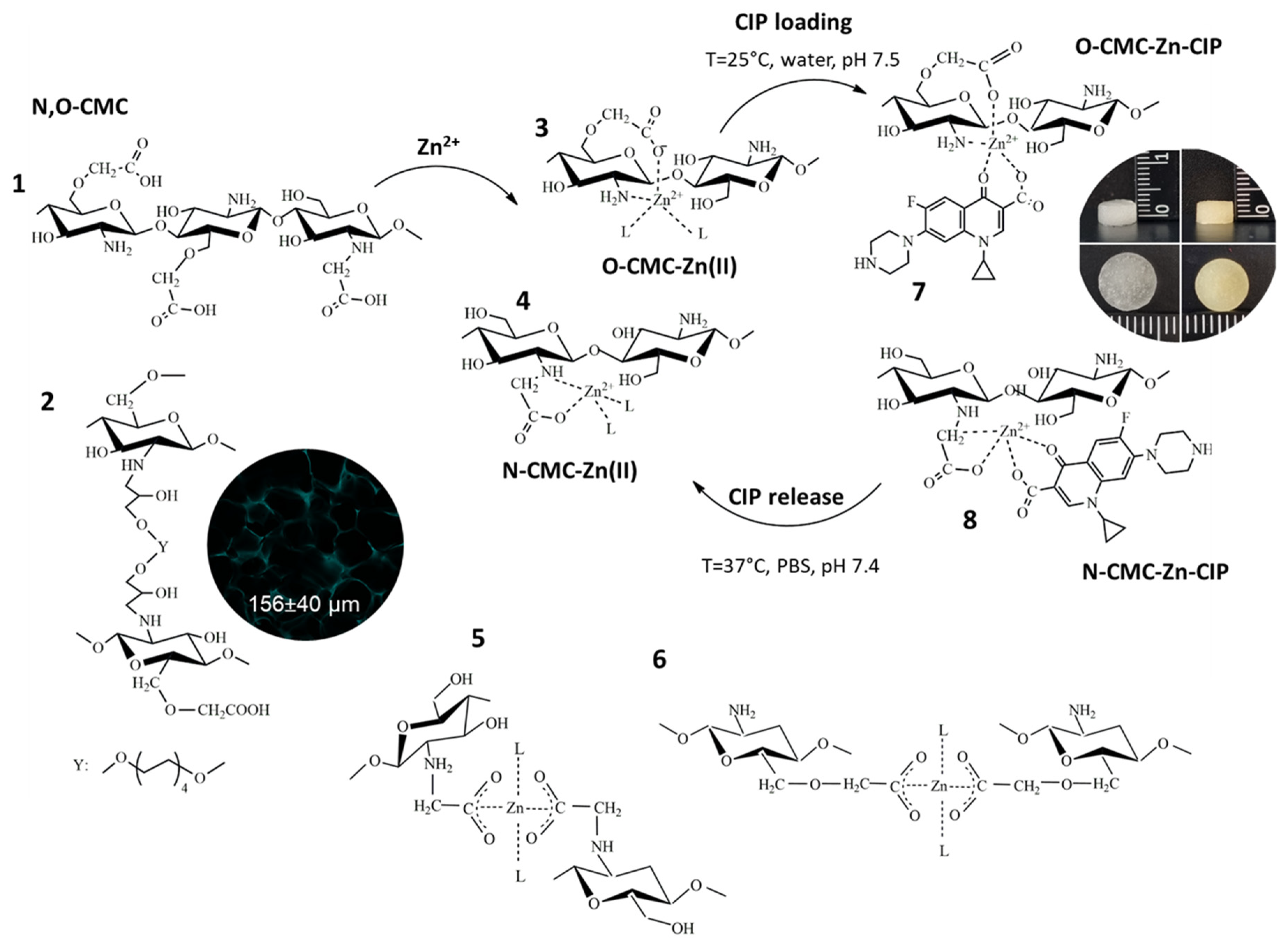 Preprints 142412 sch001