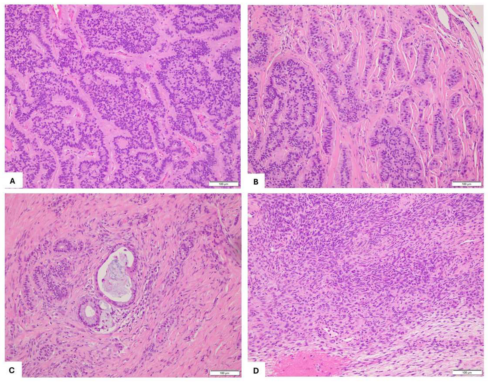 Preprints 151211 g002