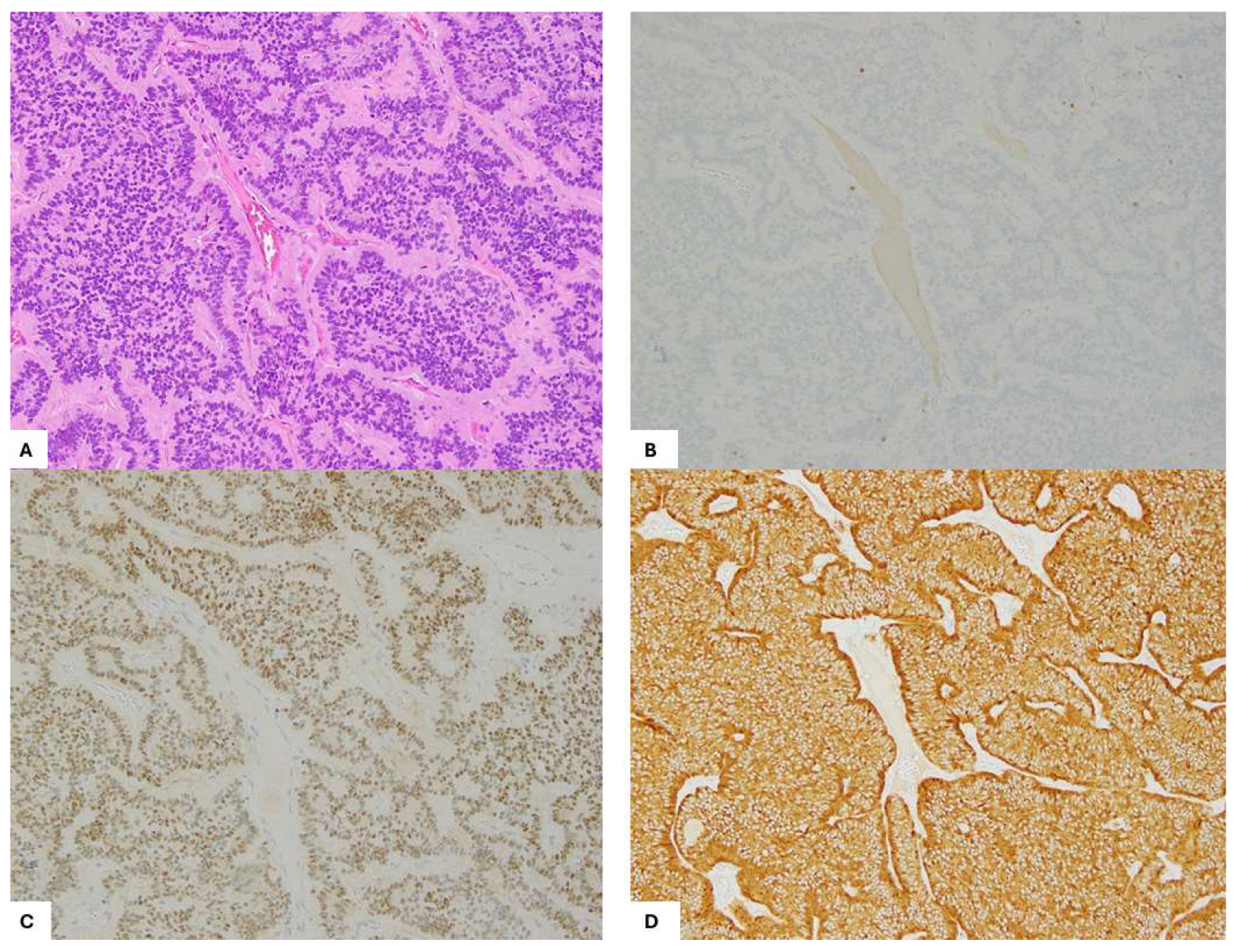 Preprints 151211 g003